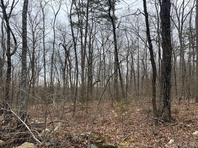 Lot 76 Mustang Drive Property Photo 9