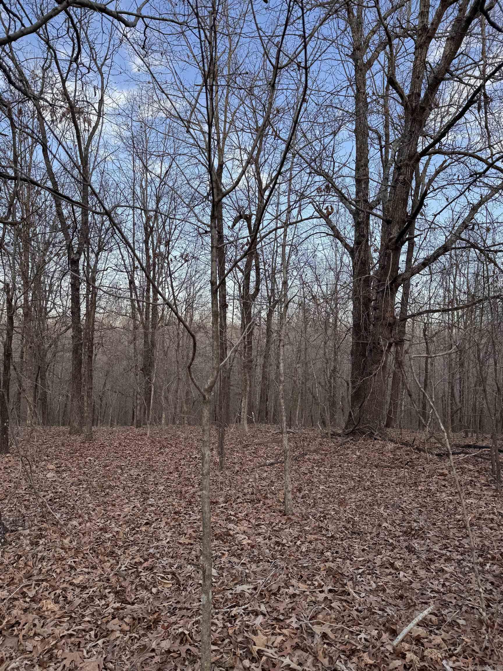 County Road 470 Property Photo 1
