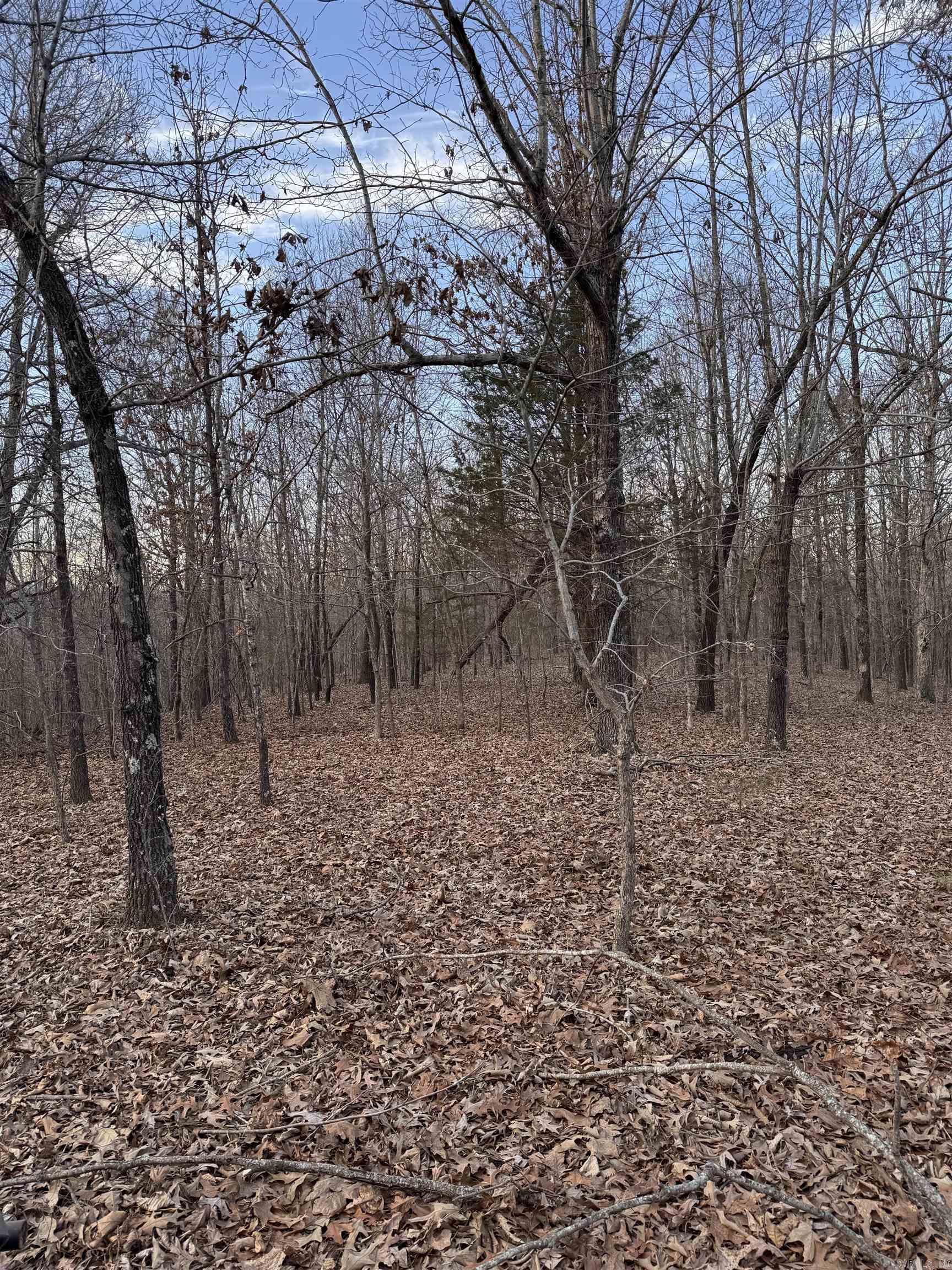 County Road 470 Property Photo 2