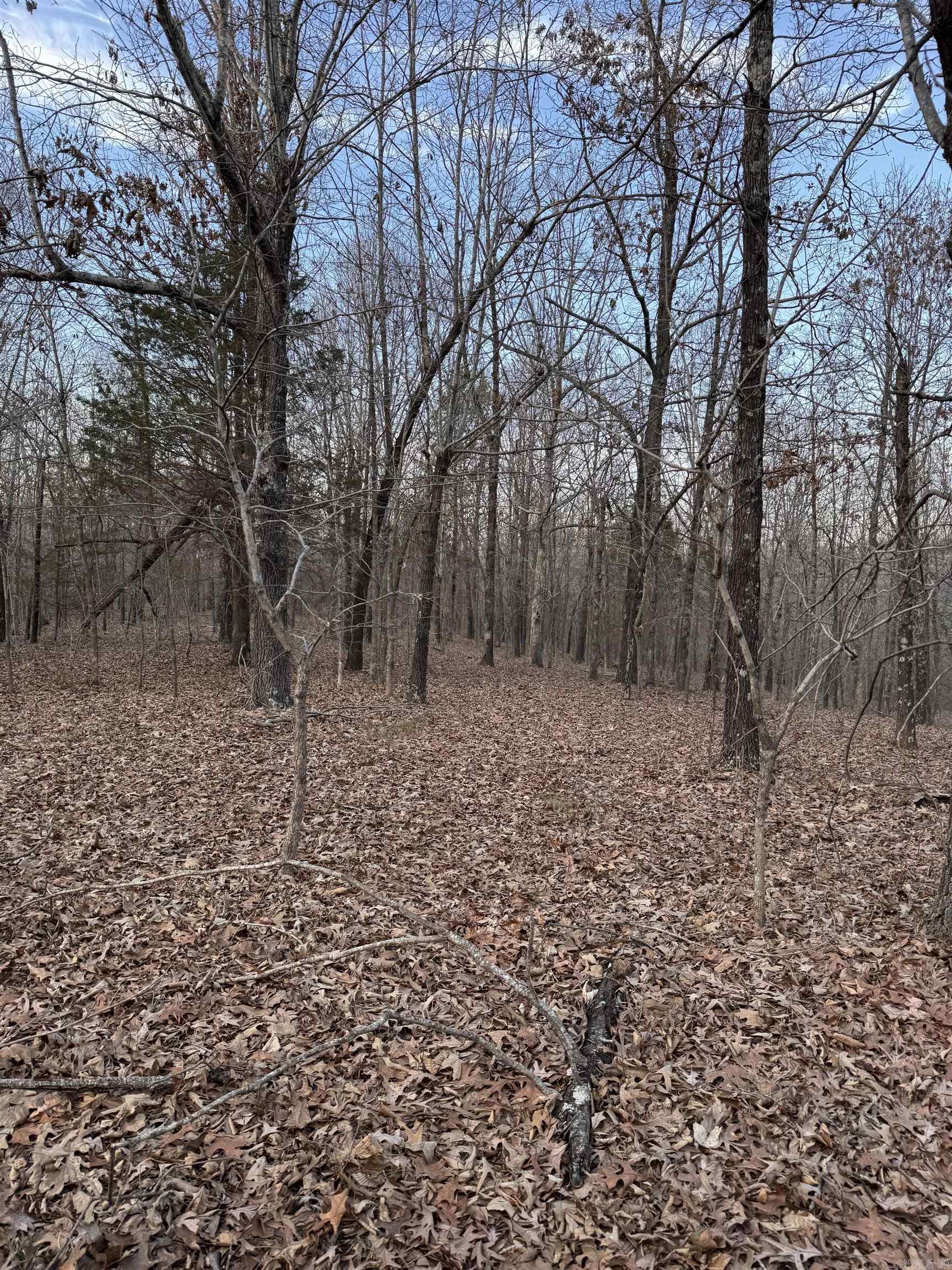 County Road 470 Property Photo 4