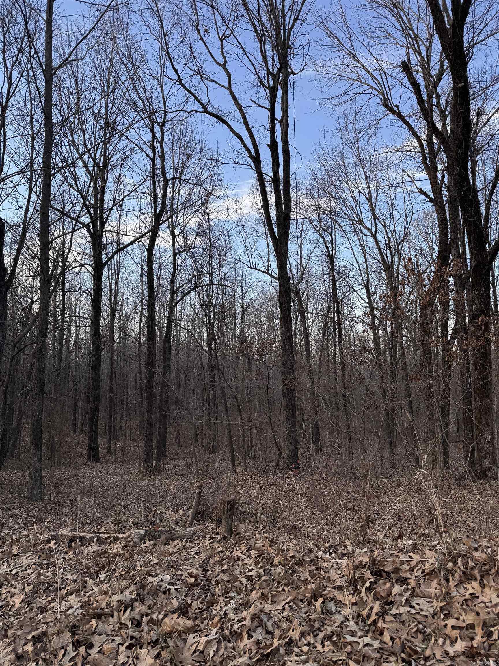 County Road 470 Property Photo 6