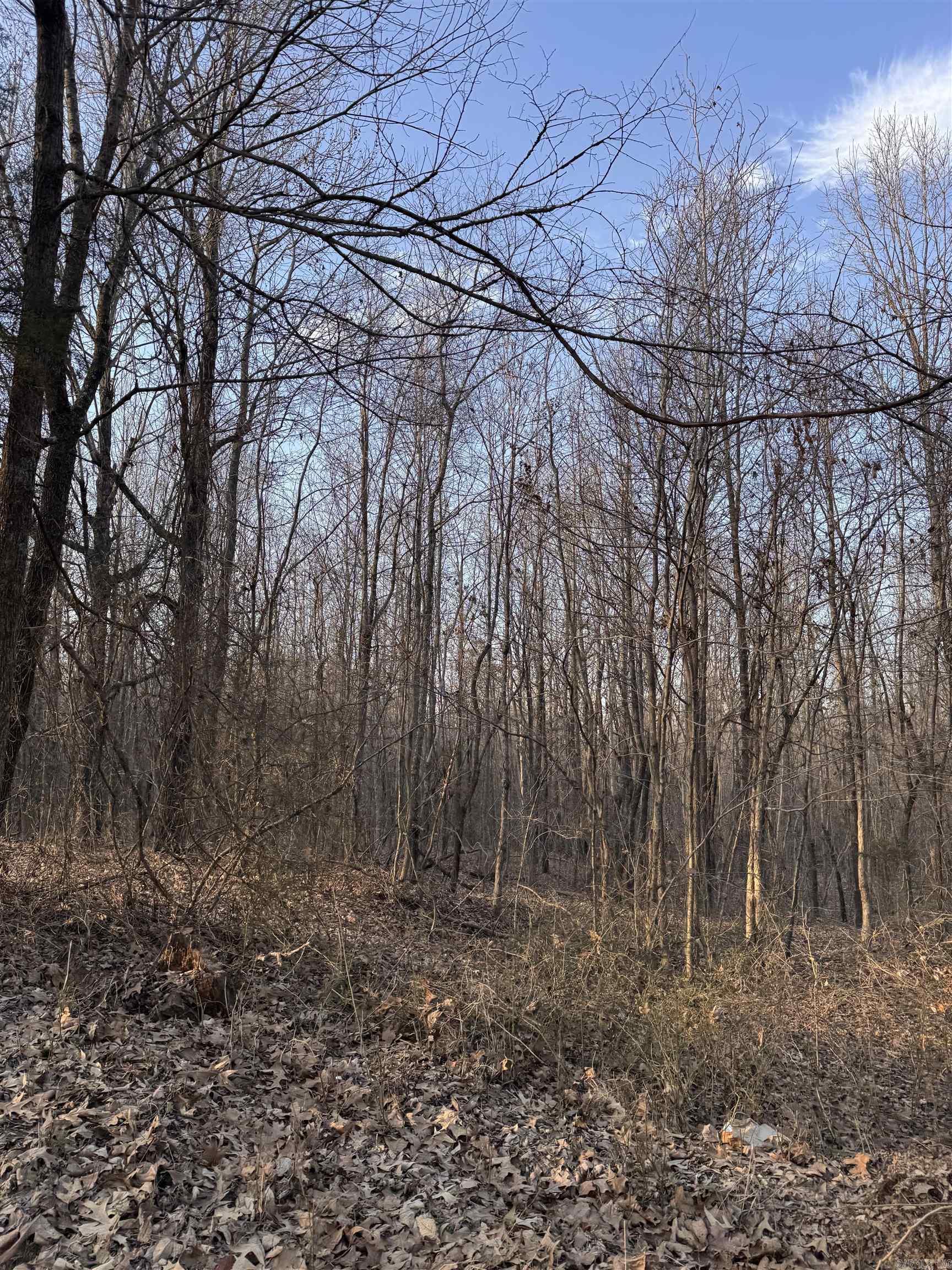 County Road 470 Property Photo 10