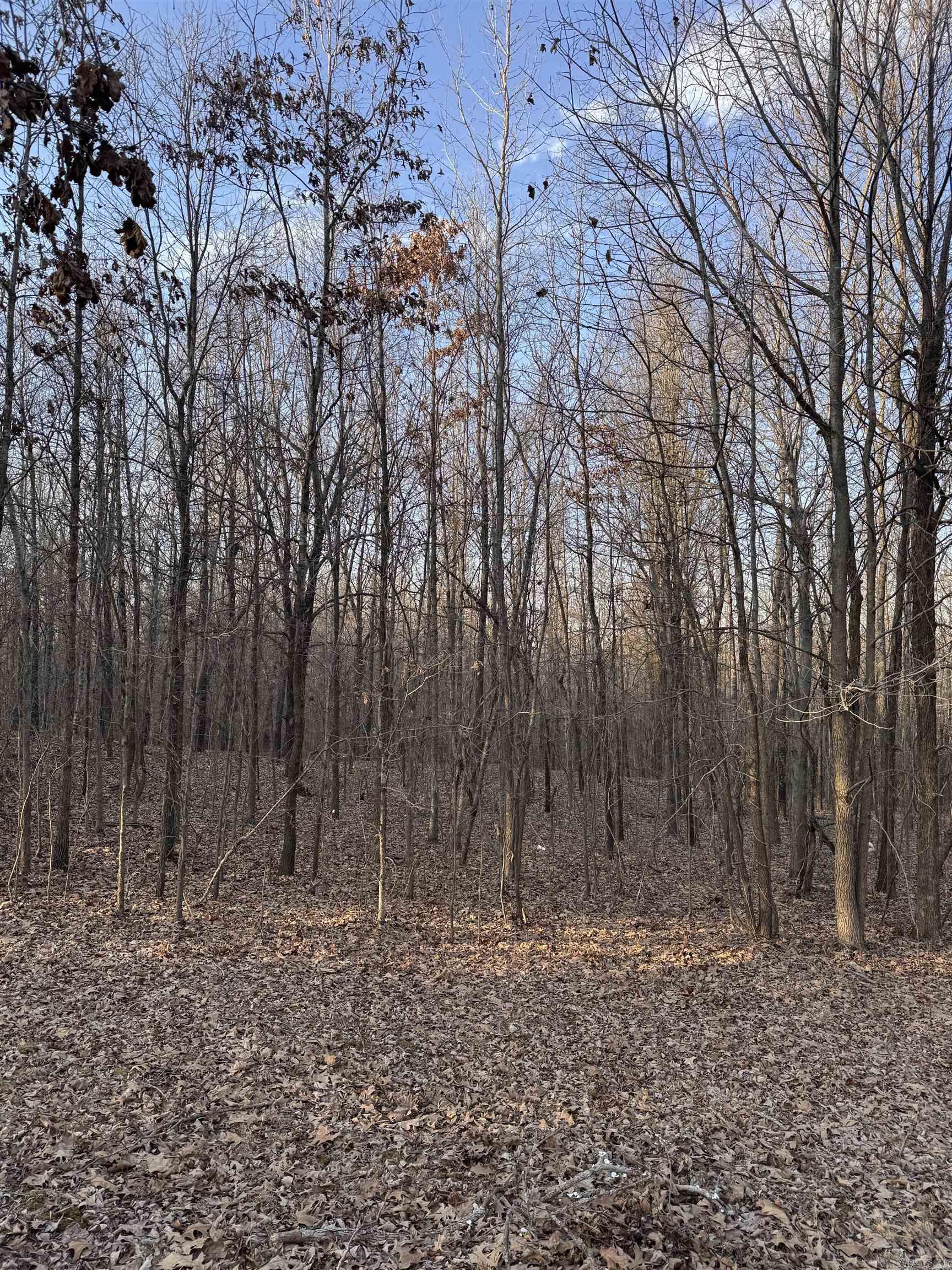 County Road 470 Property Photo 11