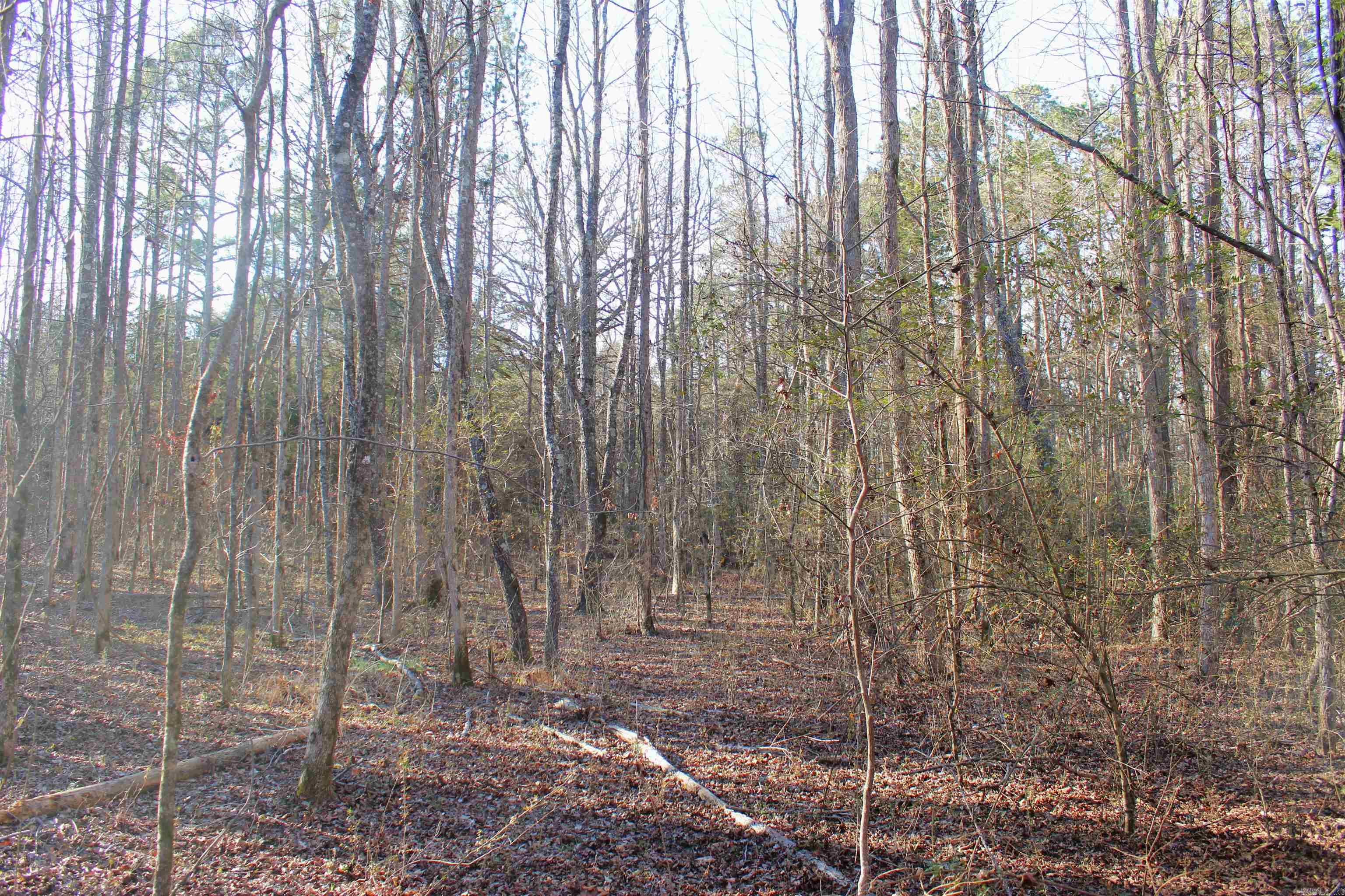 0 E Bivens Road Property Photo 16