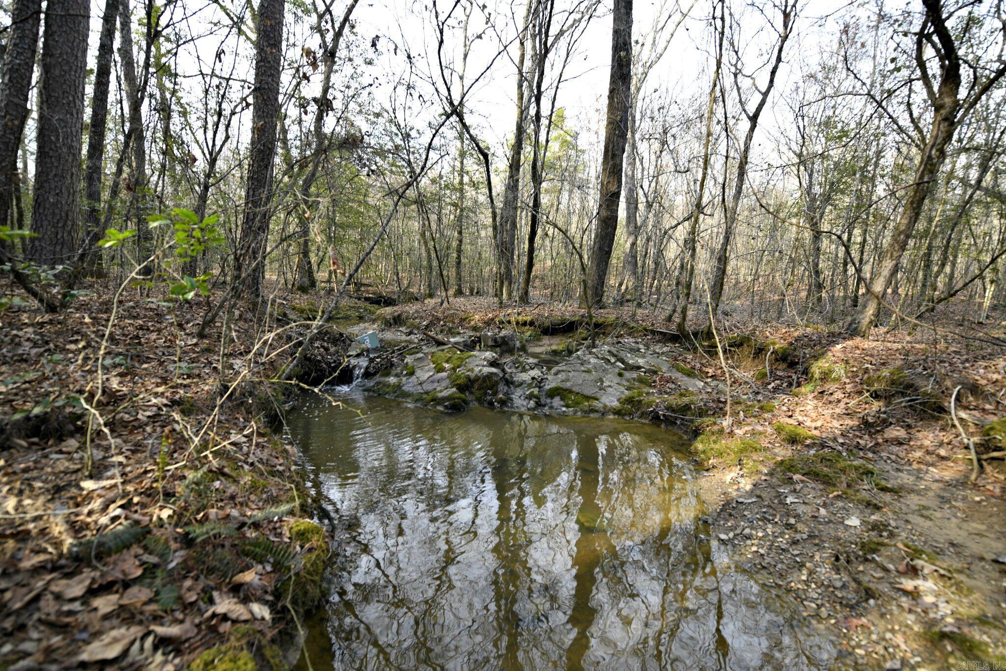Tbd Polk Road 95 Property Photo 1
