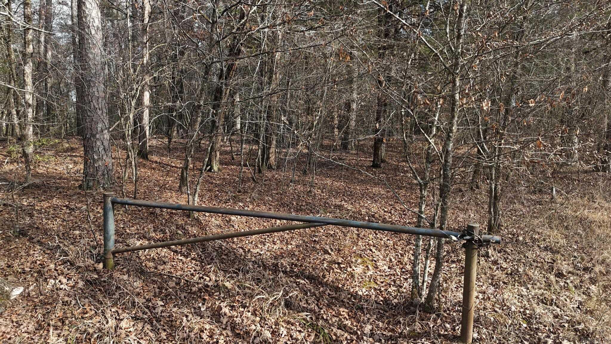 Tbd Polk Road 95 Property Photo 2