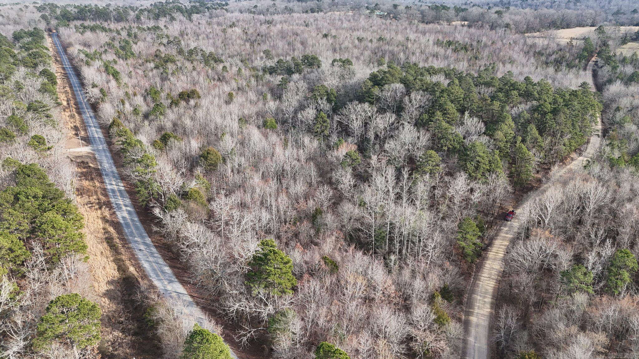 Tbd Polk Road 95 Property Photo 5