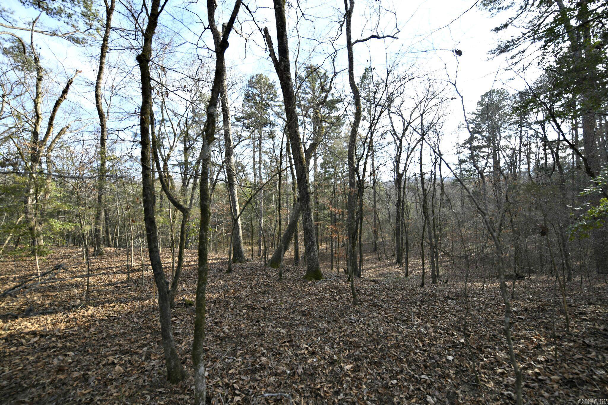 Tbd Polk Road 95 Property Photo 8