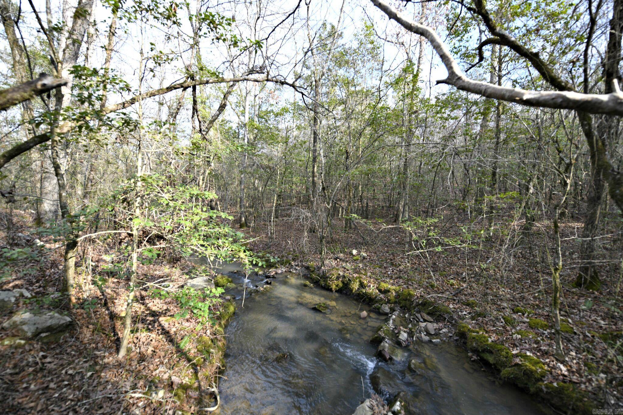 Tbd Polk Road 95 Property Photo 10