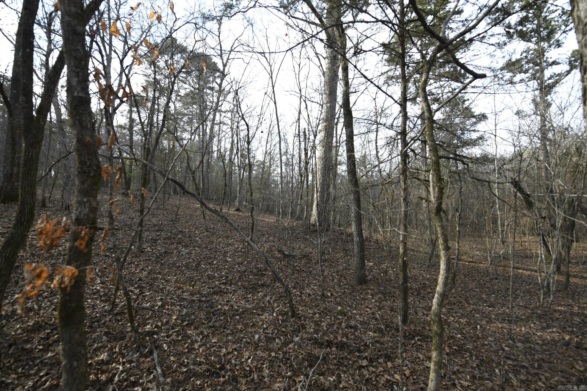 Tbd Polk Road 95 Property Photo 14