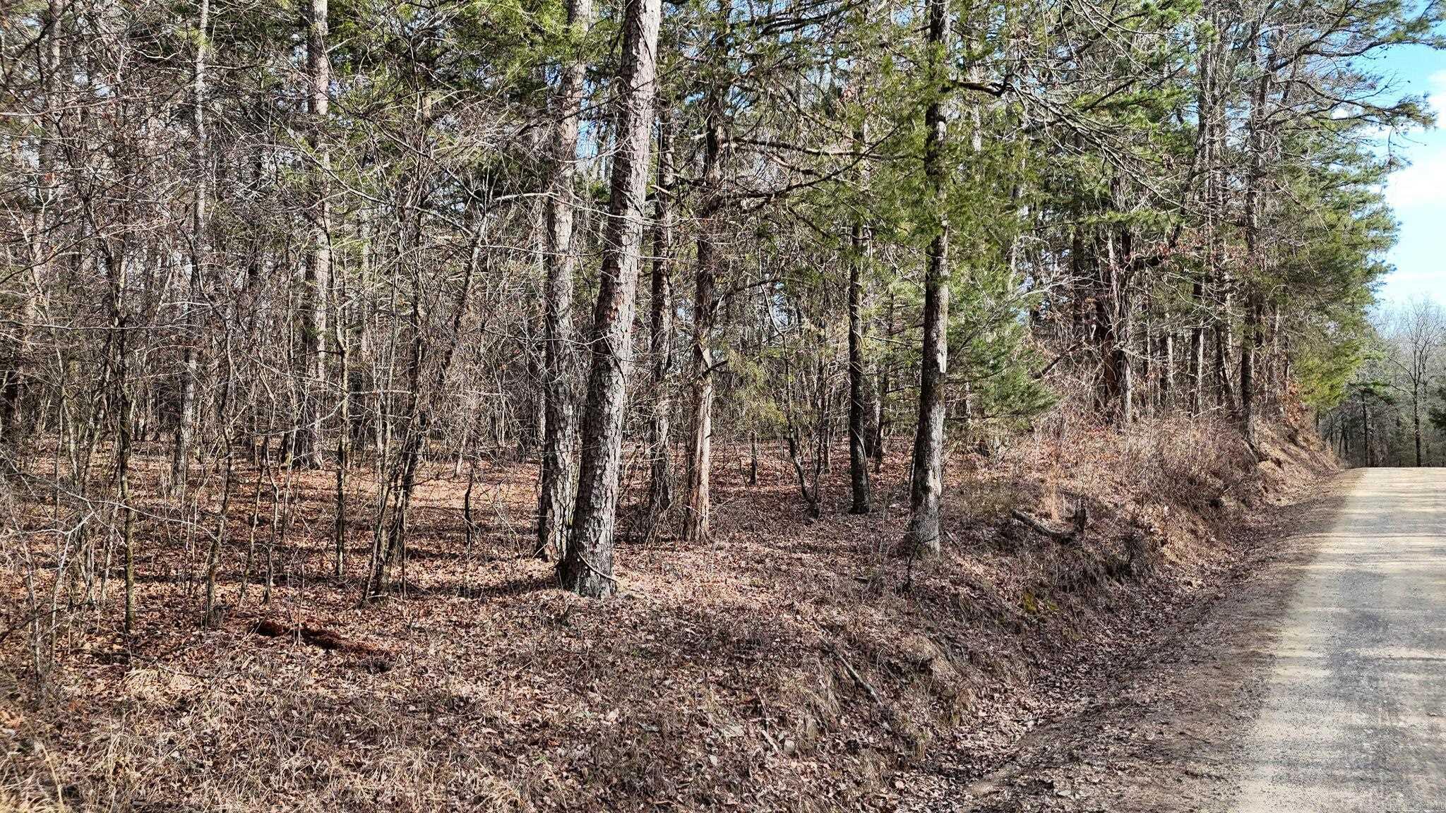 Tbd Polk Road 95 Property Photo 15