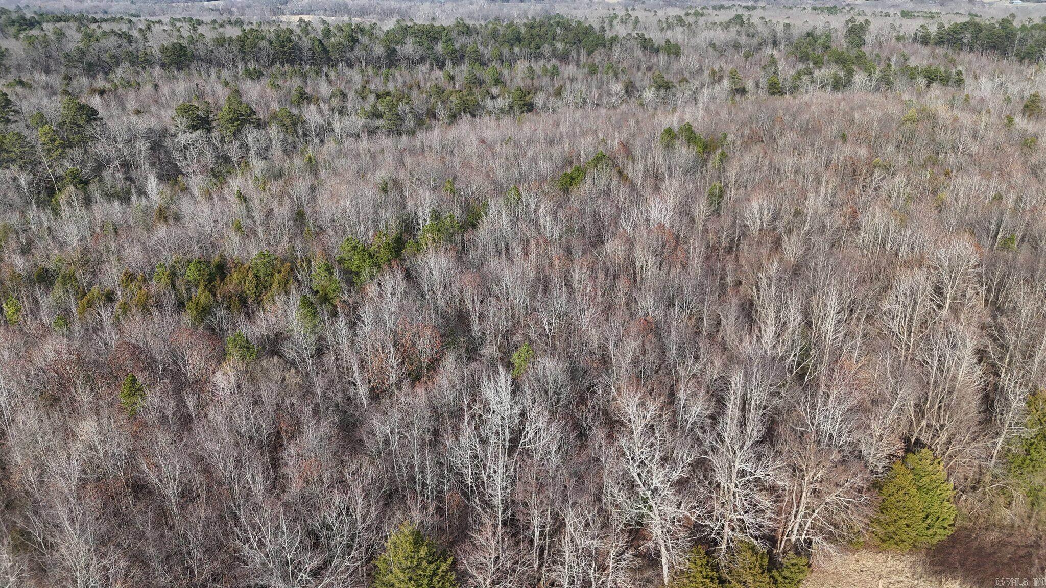Tbd Polk Road 95 Property Photo 17