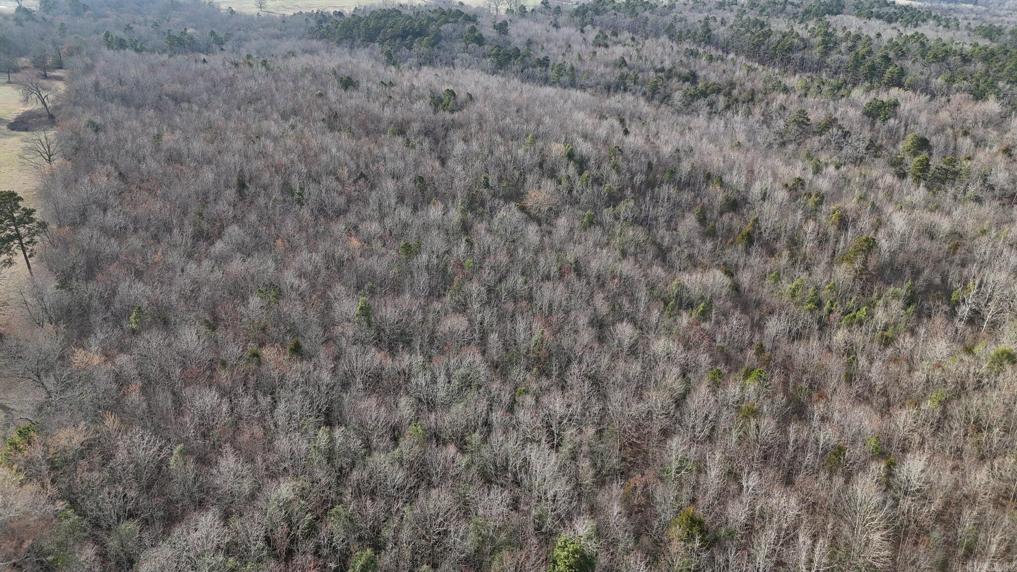 Tbd Polk Road 95 Property Photo 19