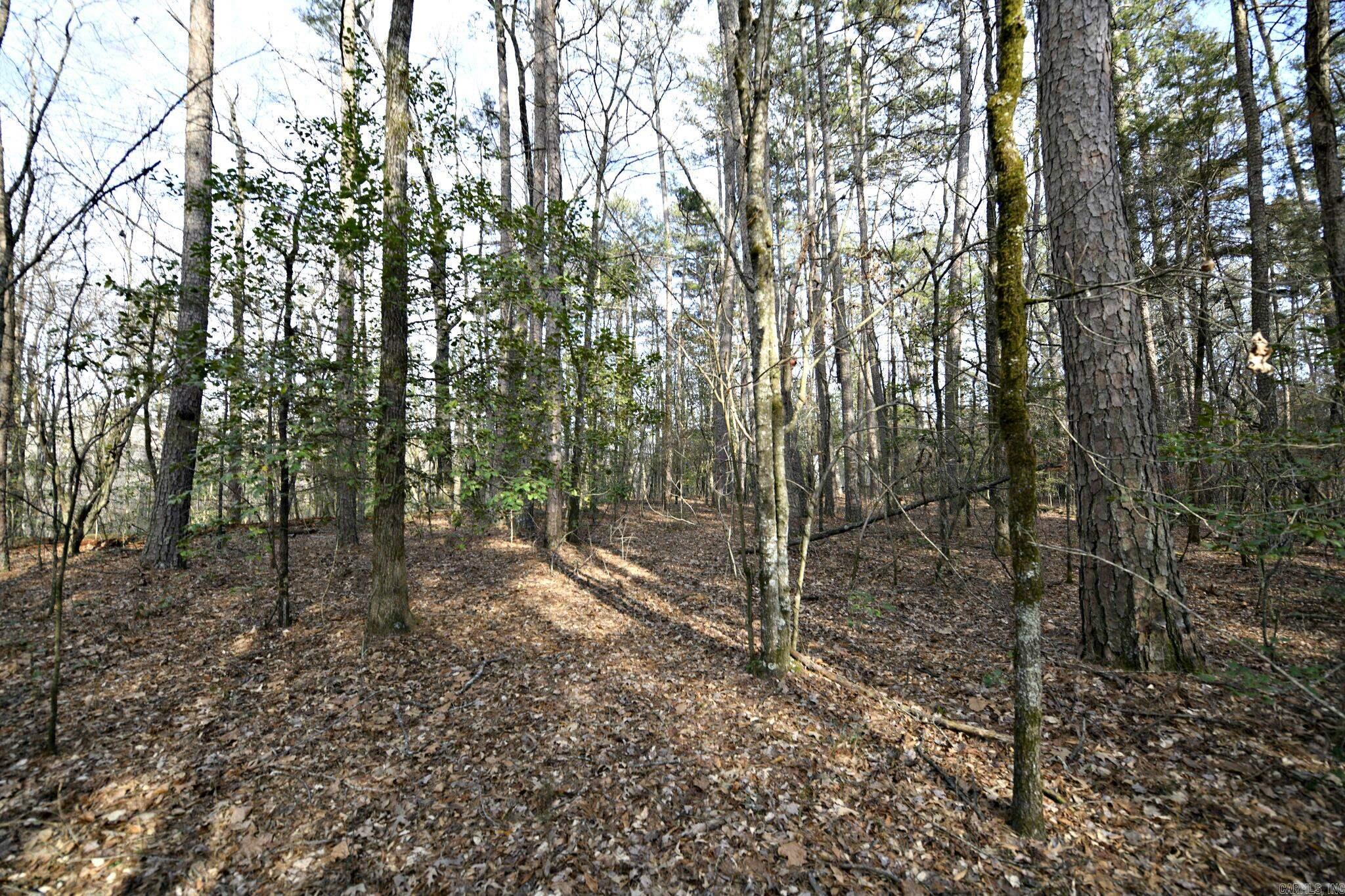 Tbd Polk Road 95 Property Photo 21