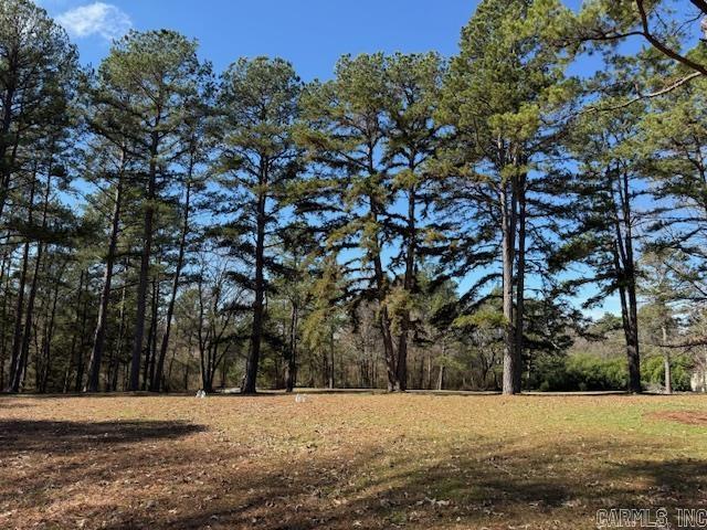 732 Old Bear Road Property Photo 29