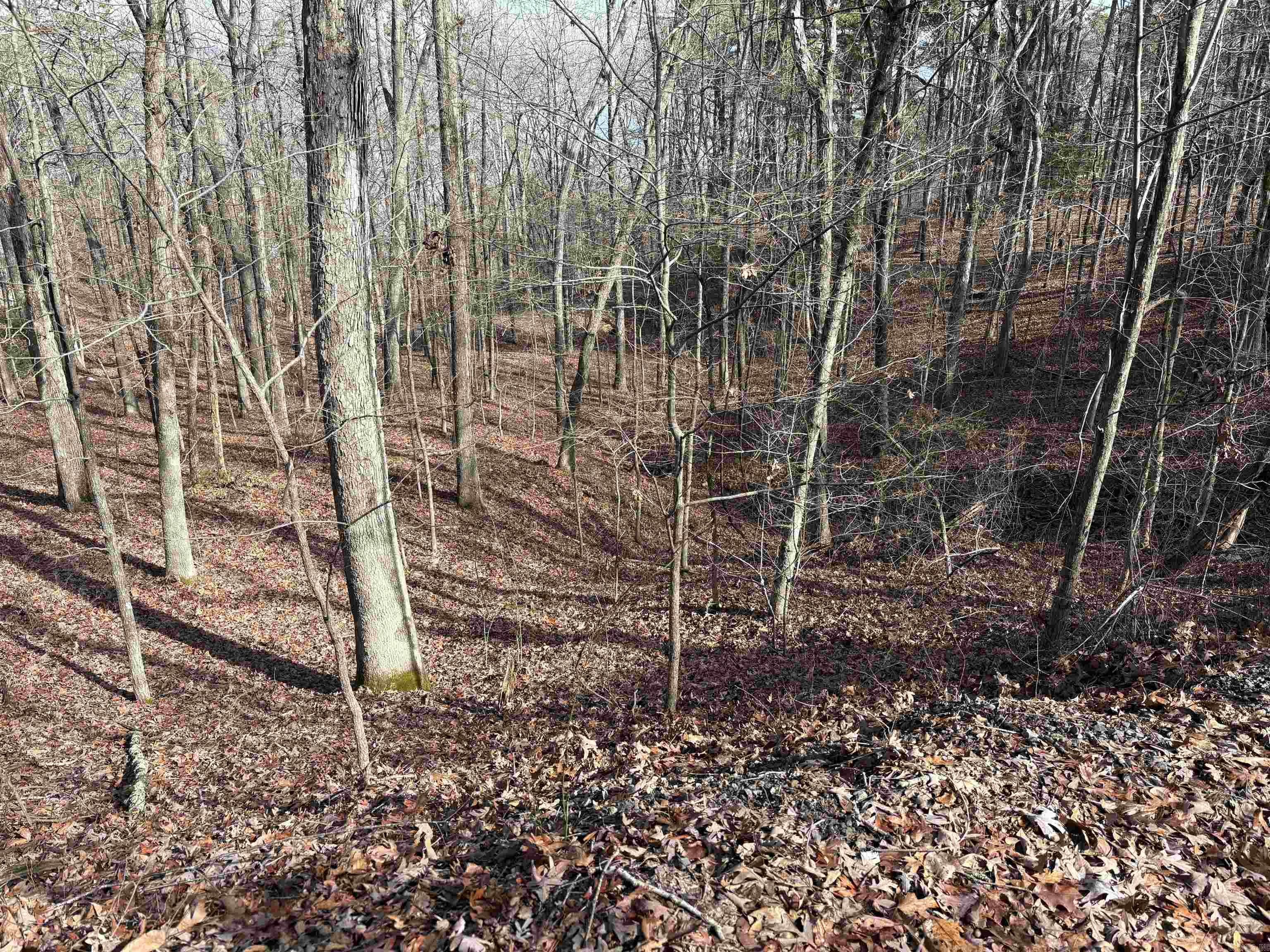 000 Oak Ln. Property Photo 1