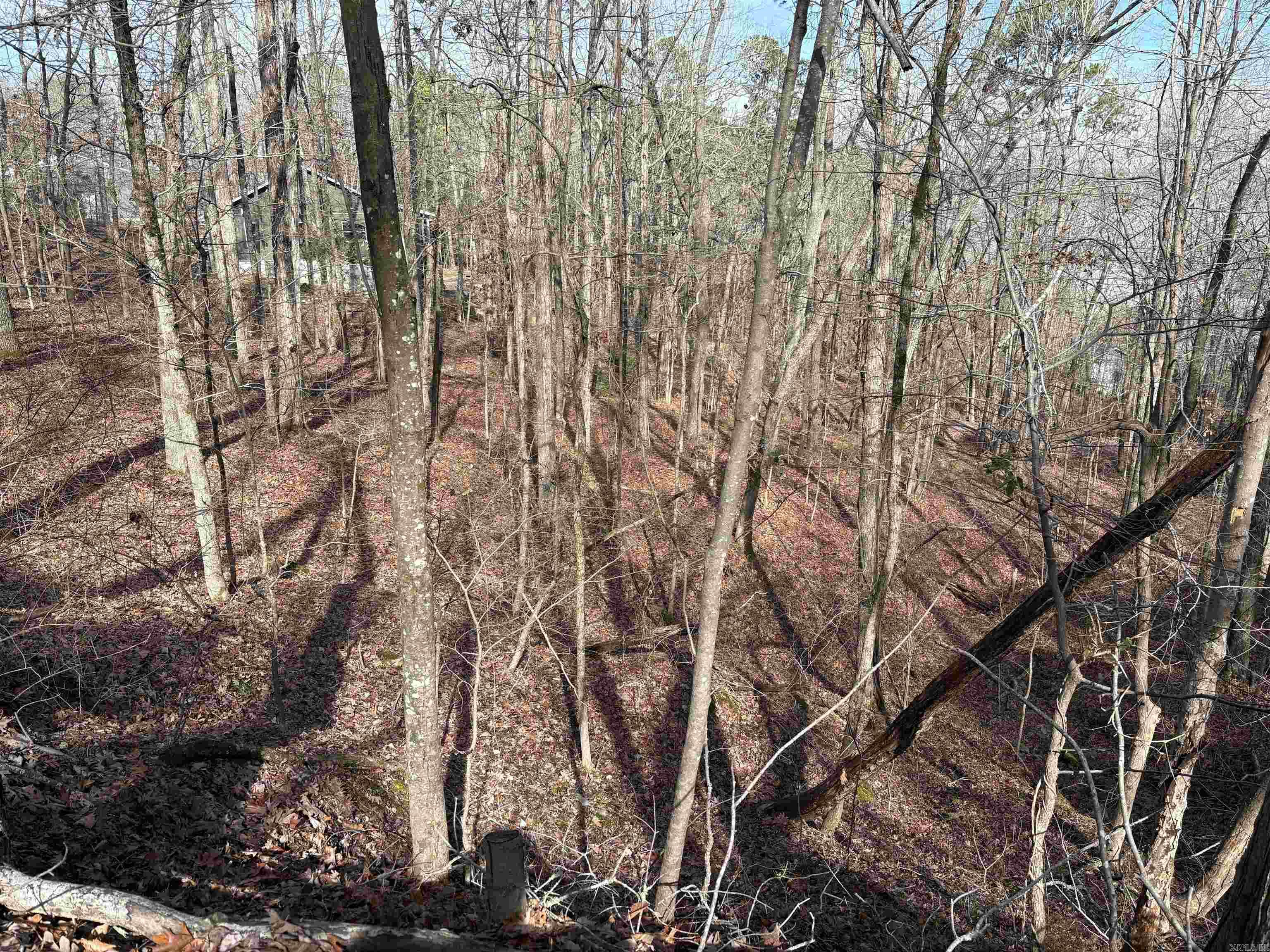 000 Oak Ln. Property Photo 2