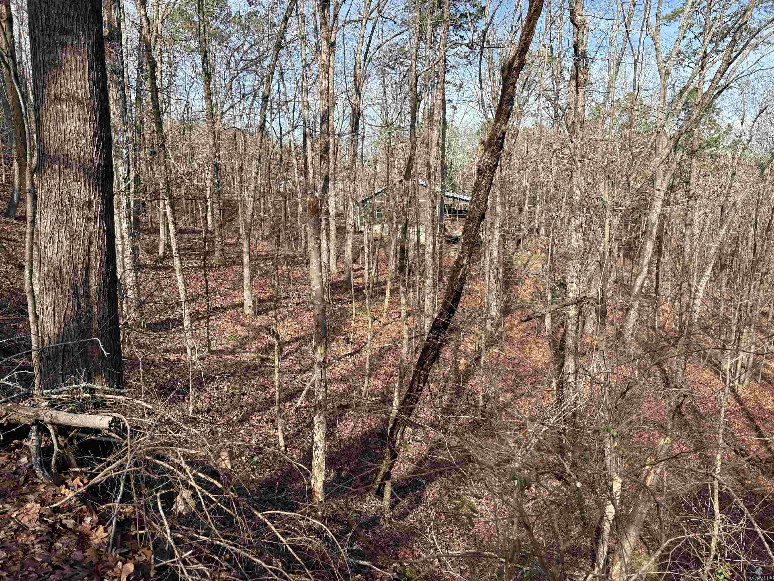 000 Oak Ln. Property Photo 3