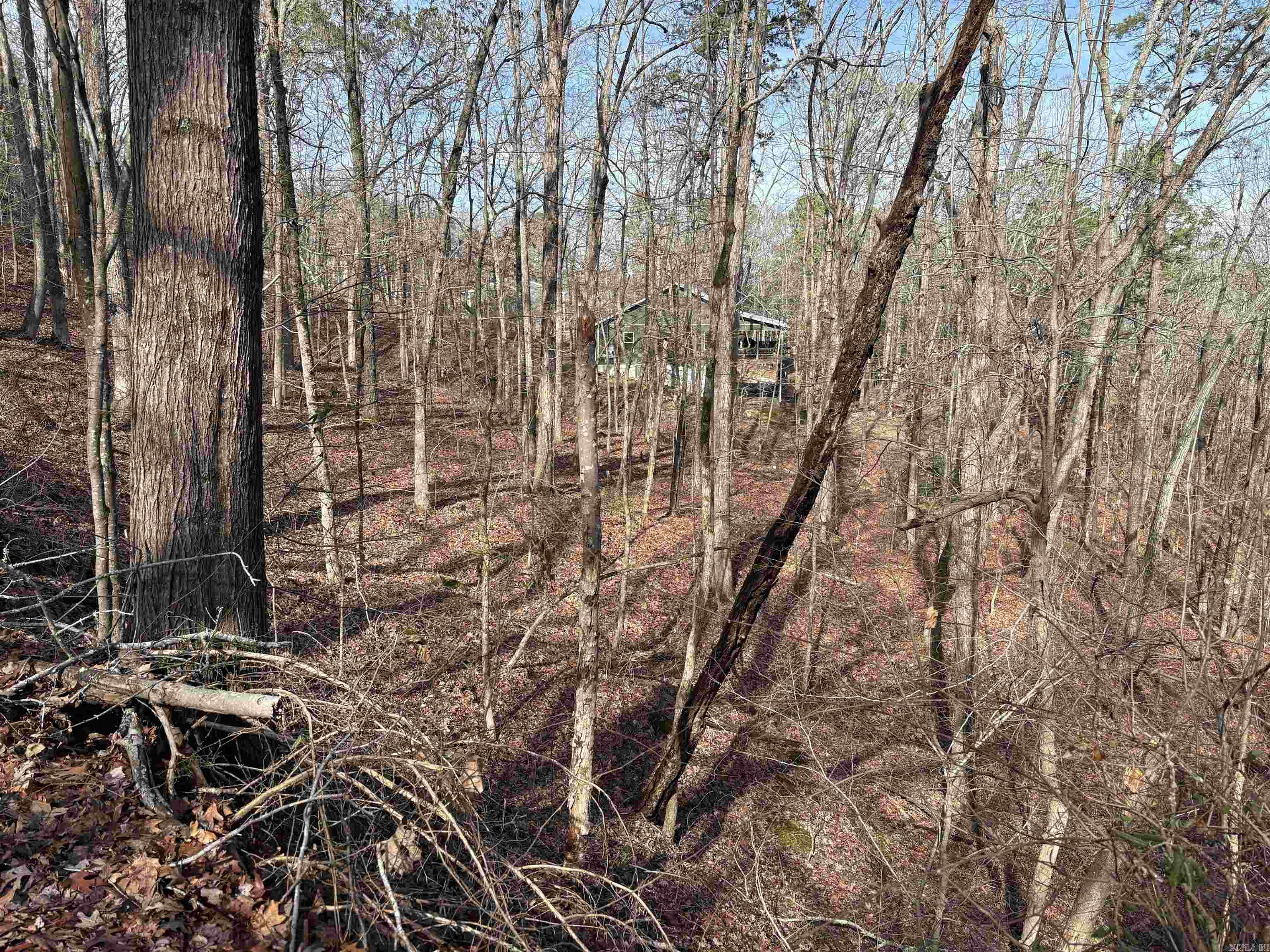 000 Oak Ln. Property Photo 4