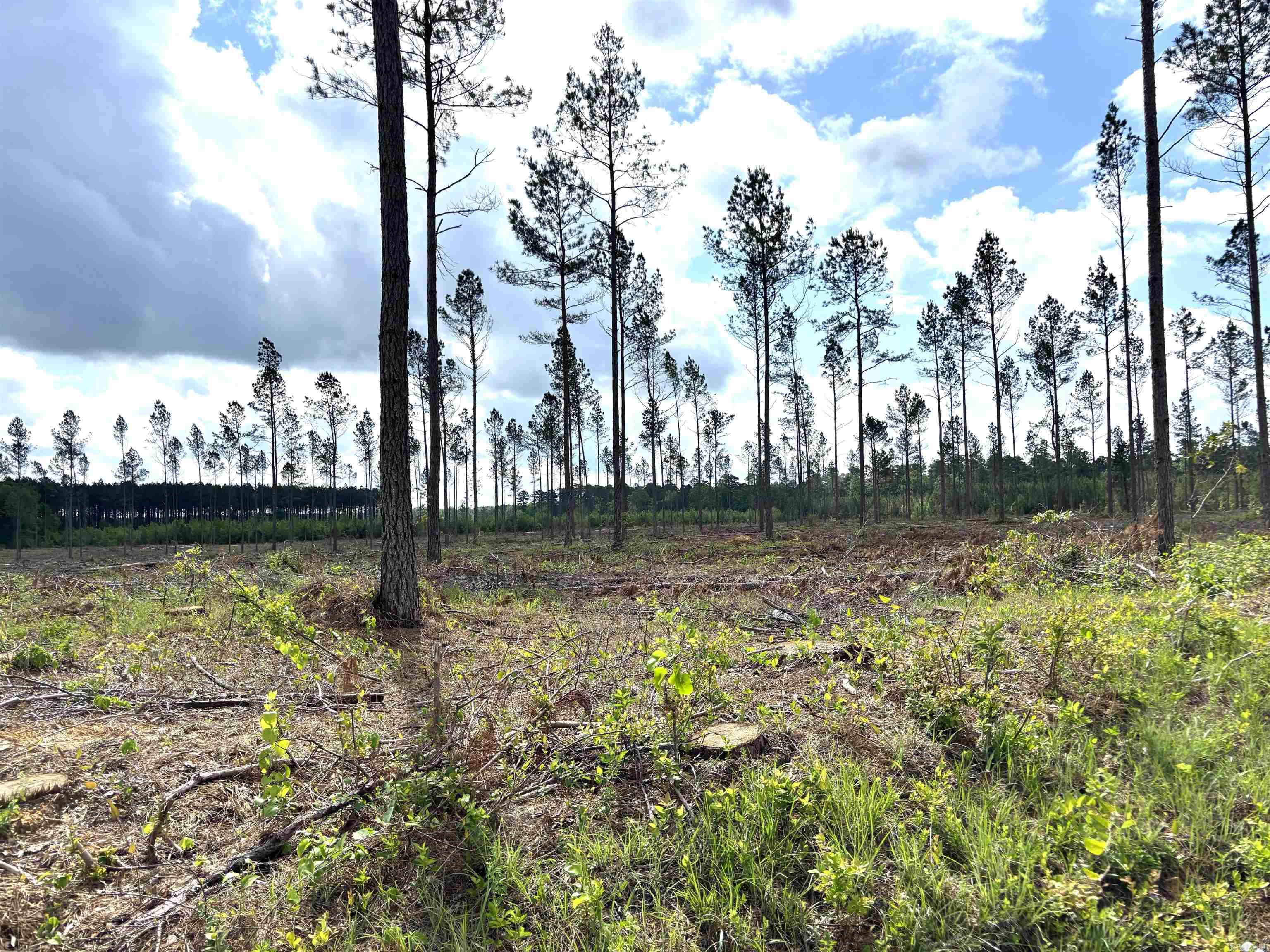 0 Grant County Road 9 (d) Property Photo 2