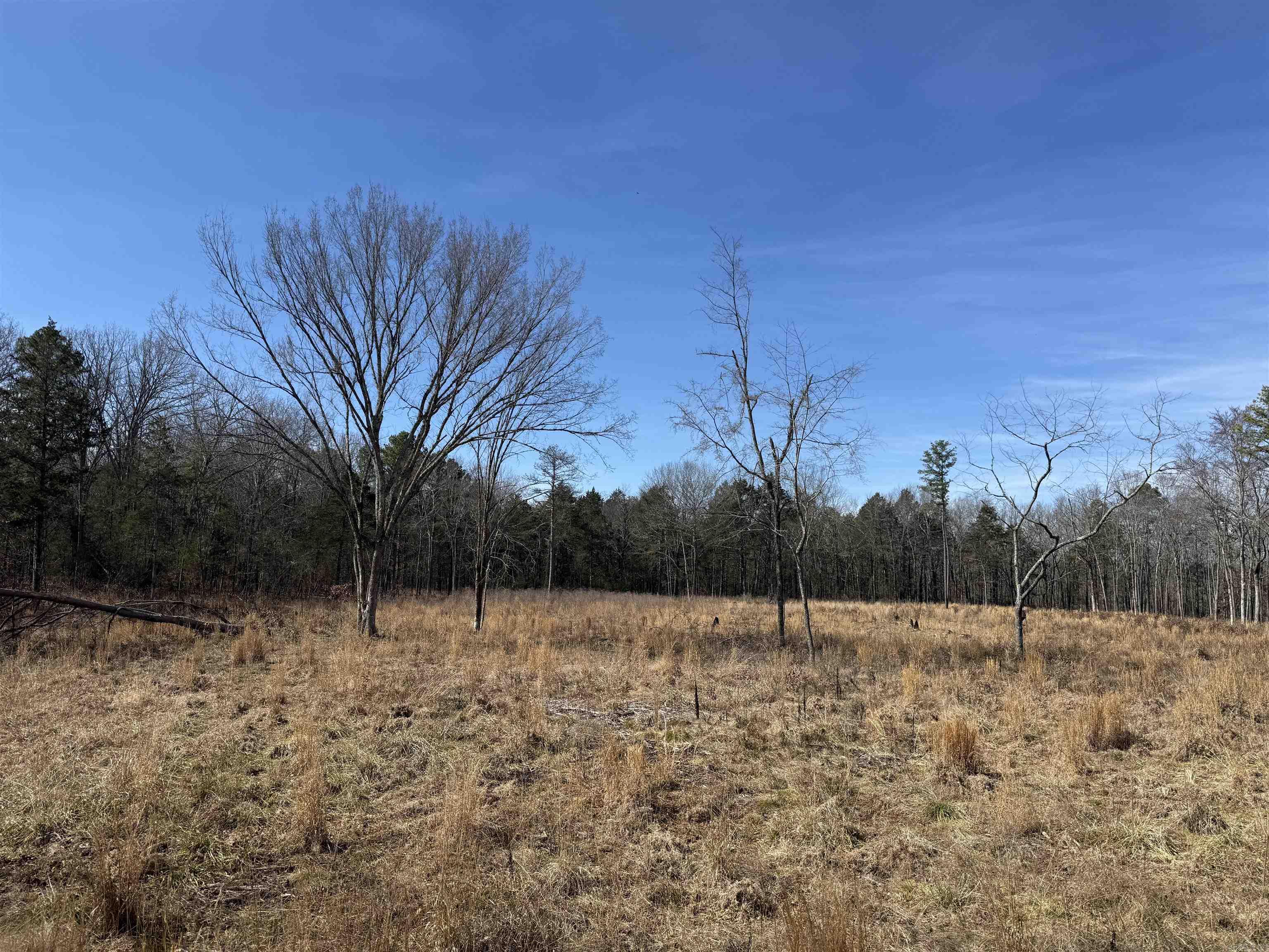 5064 Wilburn Road Property Photo 8