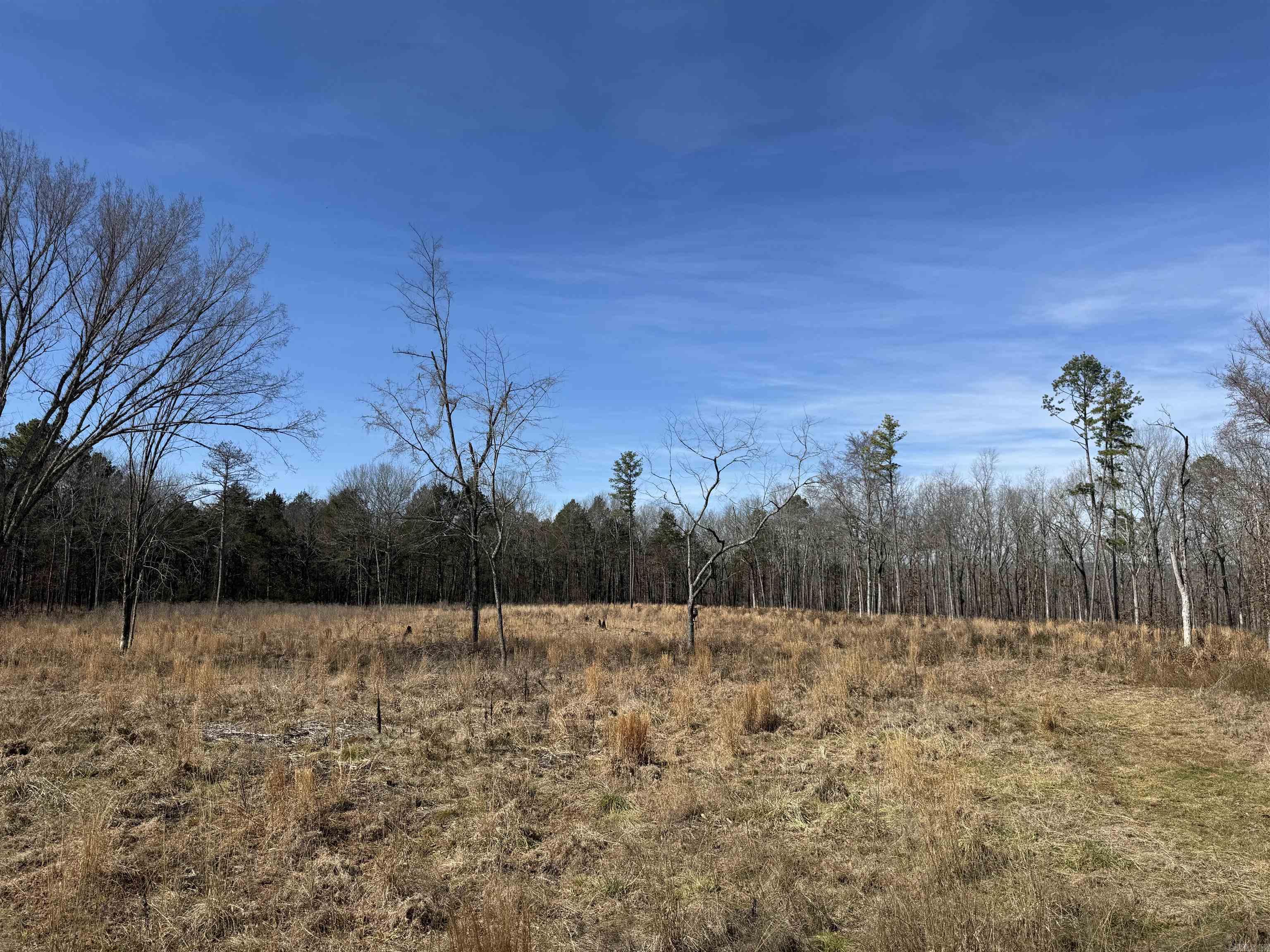 5064 Wilburn Road Property Photo 9
