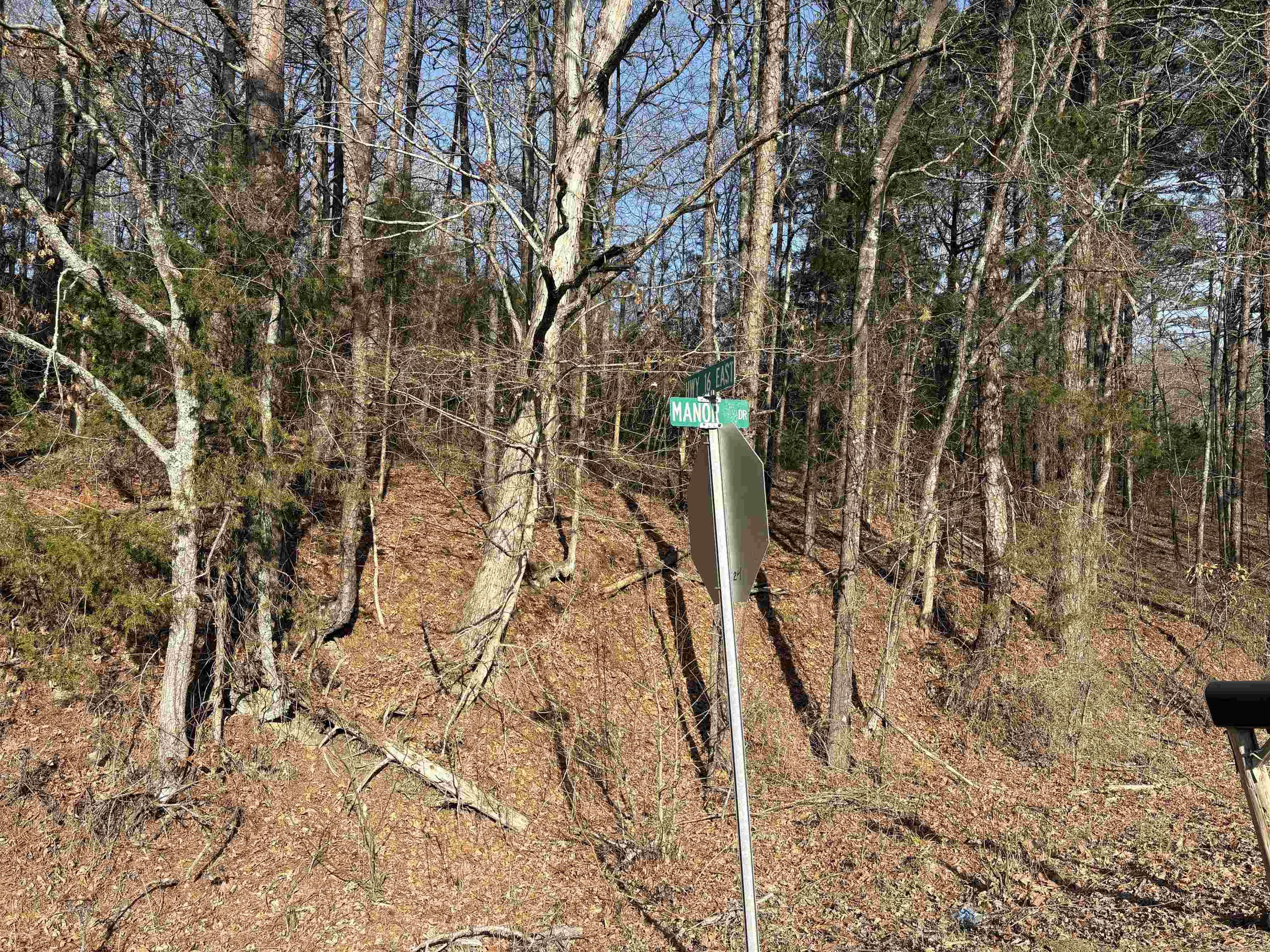 Manor And Hwy.9 Property Photo 2