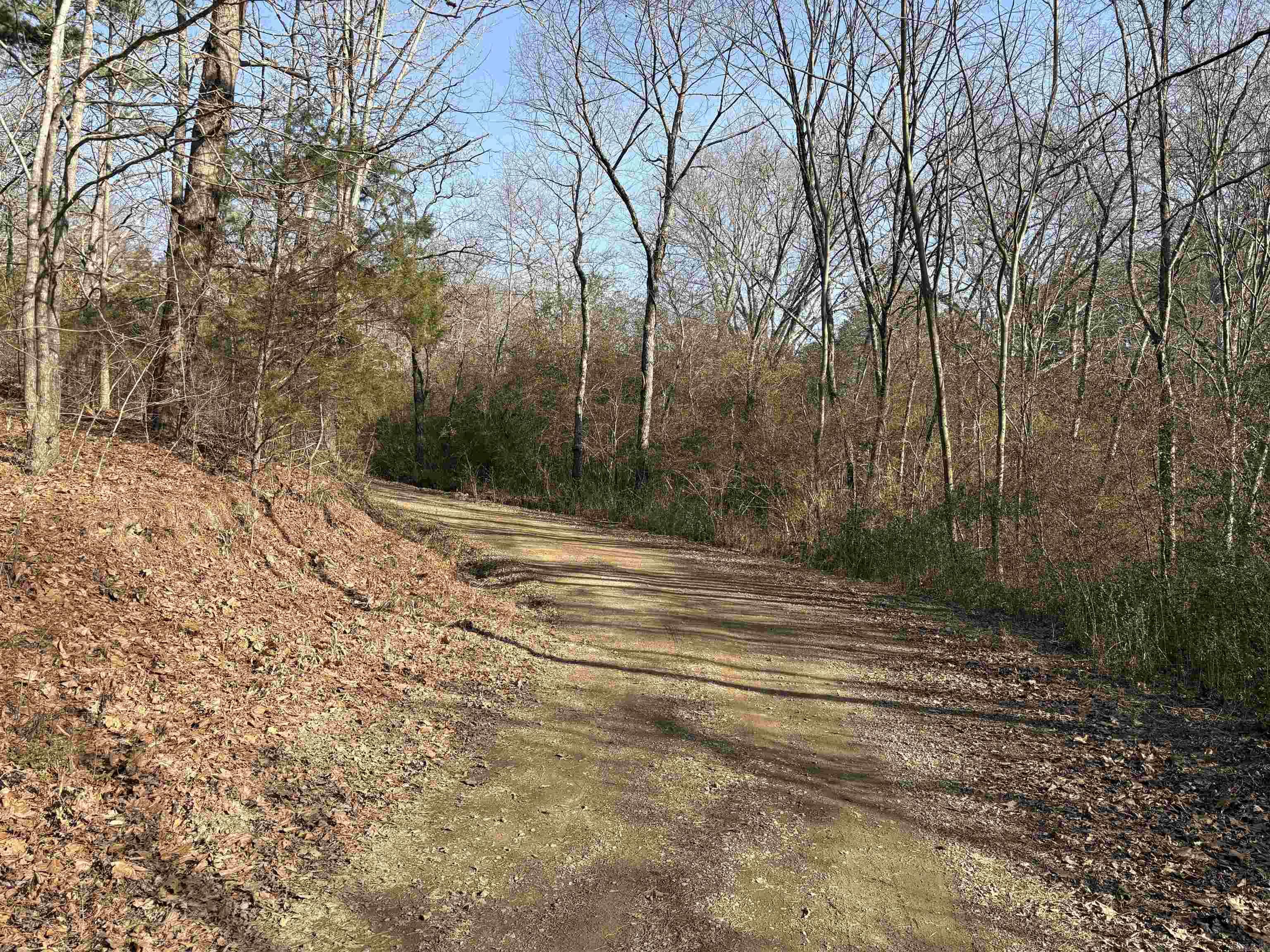 Manor And Hwy.9 Property Photo 3