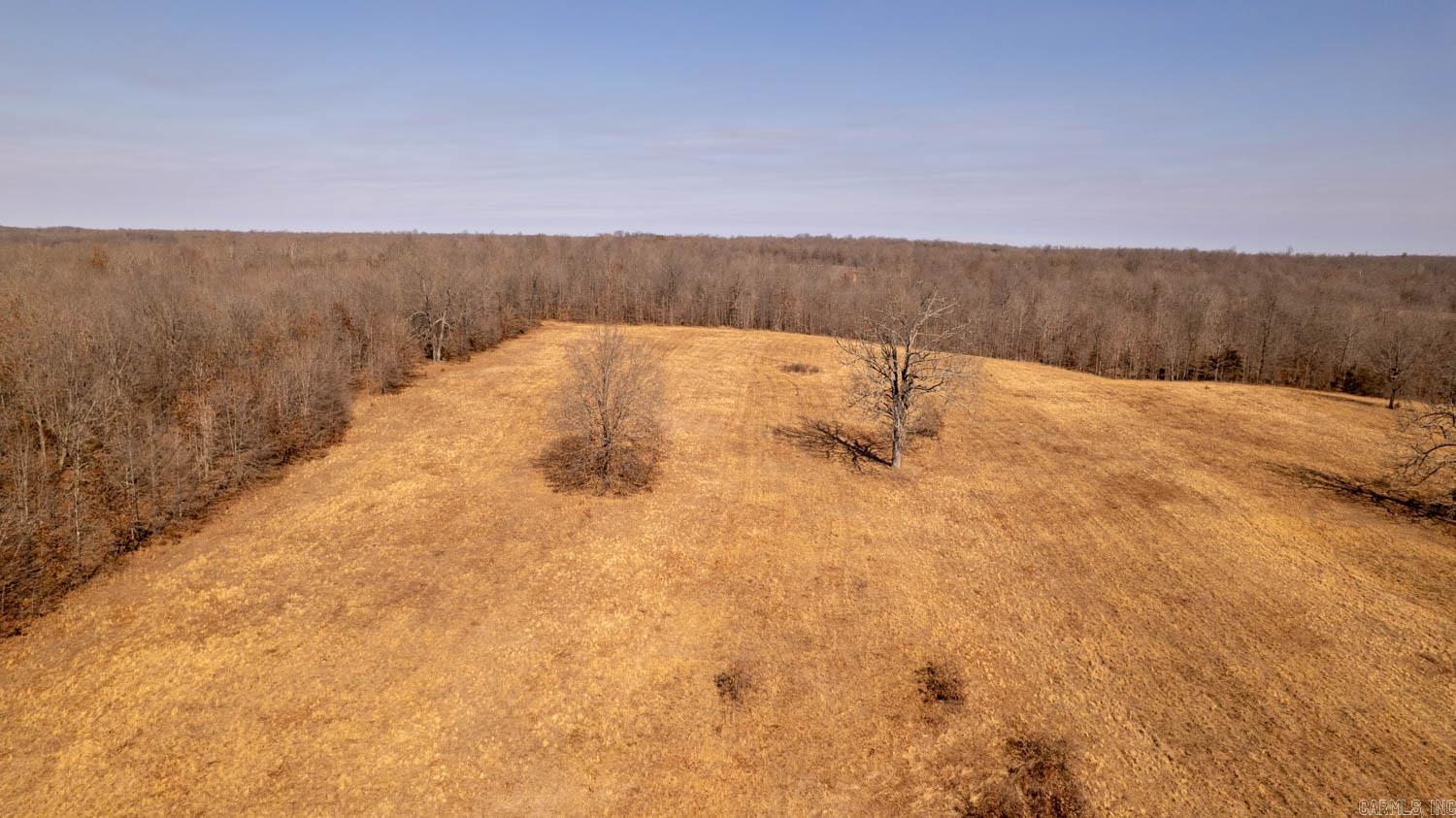 000 Pleasant Run Road Property Photo 18