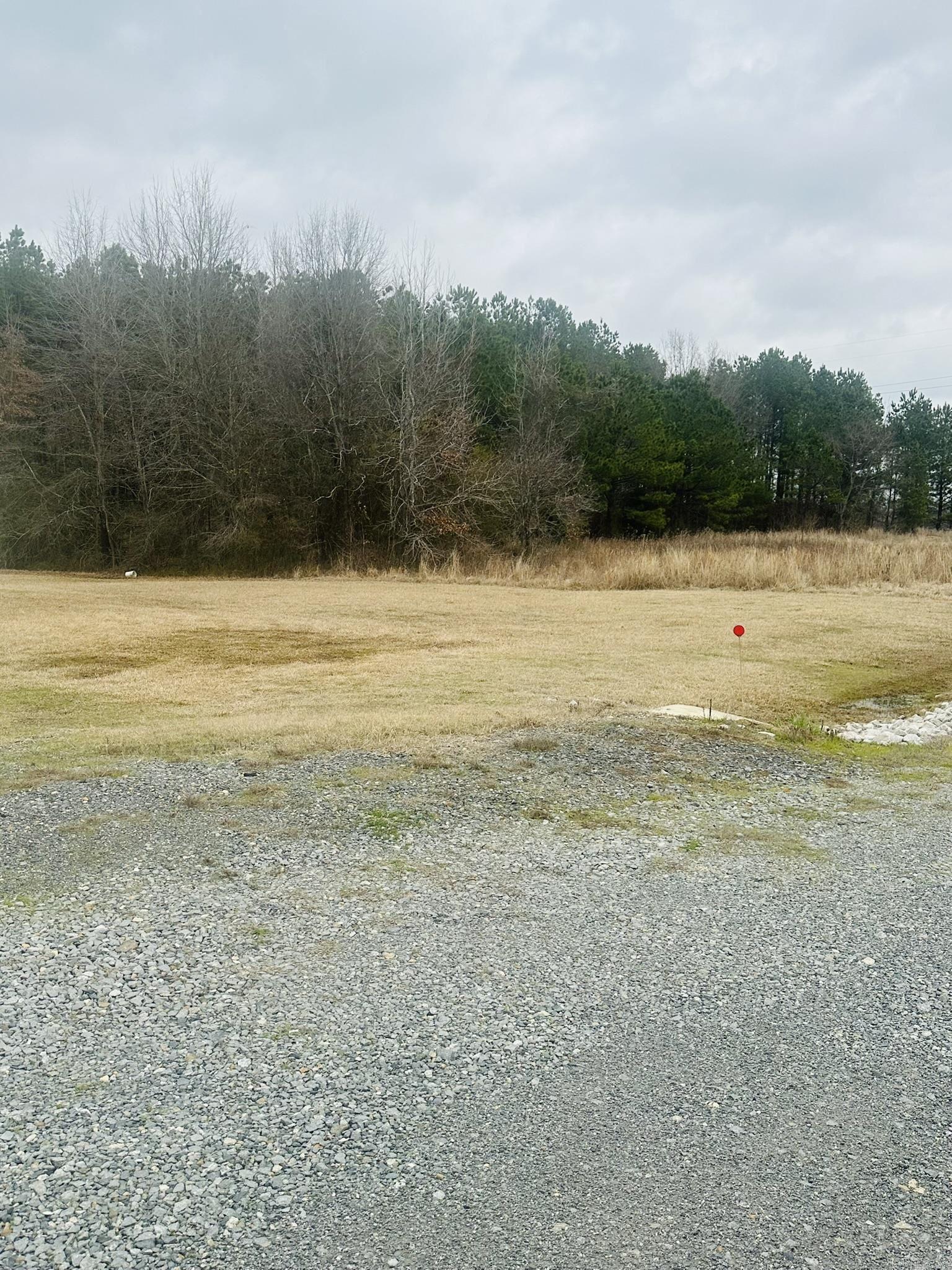 2901 S Highway 133 Property Photo 22