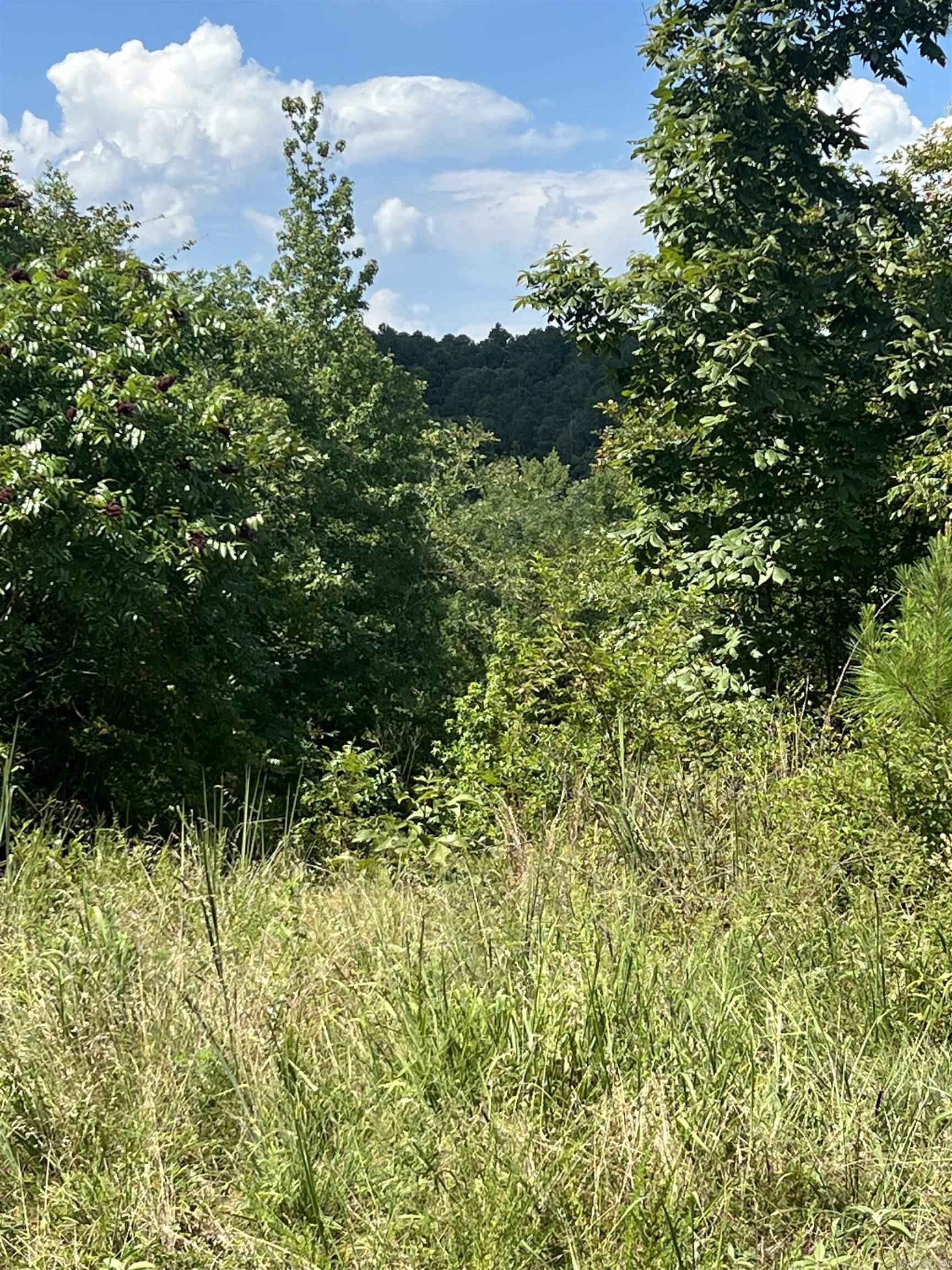 Xx John Ashley Property Photo 3