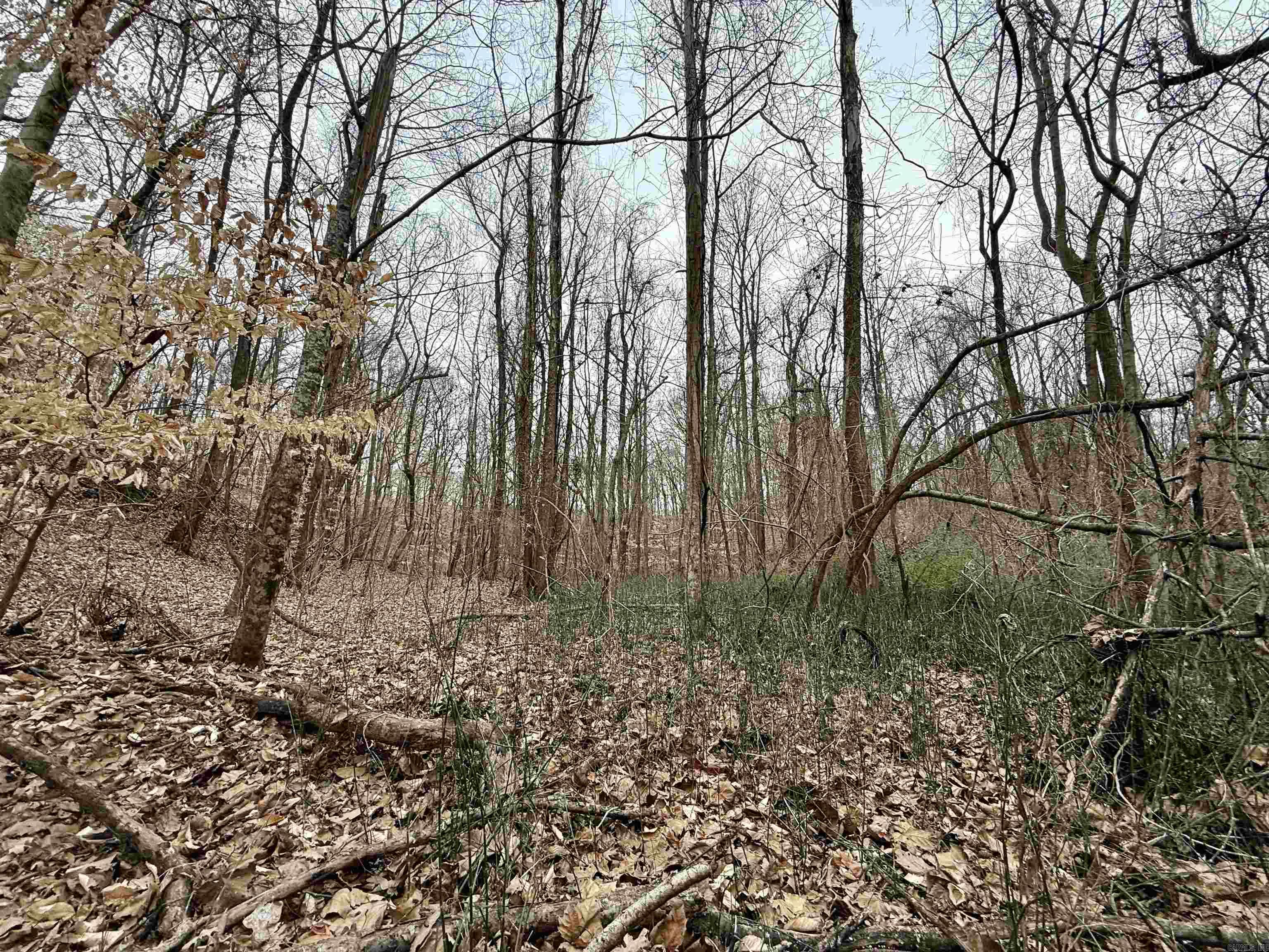 00 Sfc 415 County Rd 415 Property Photo 25