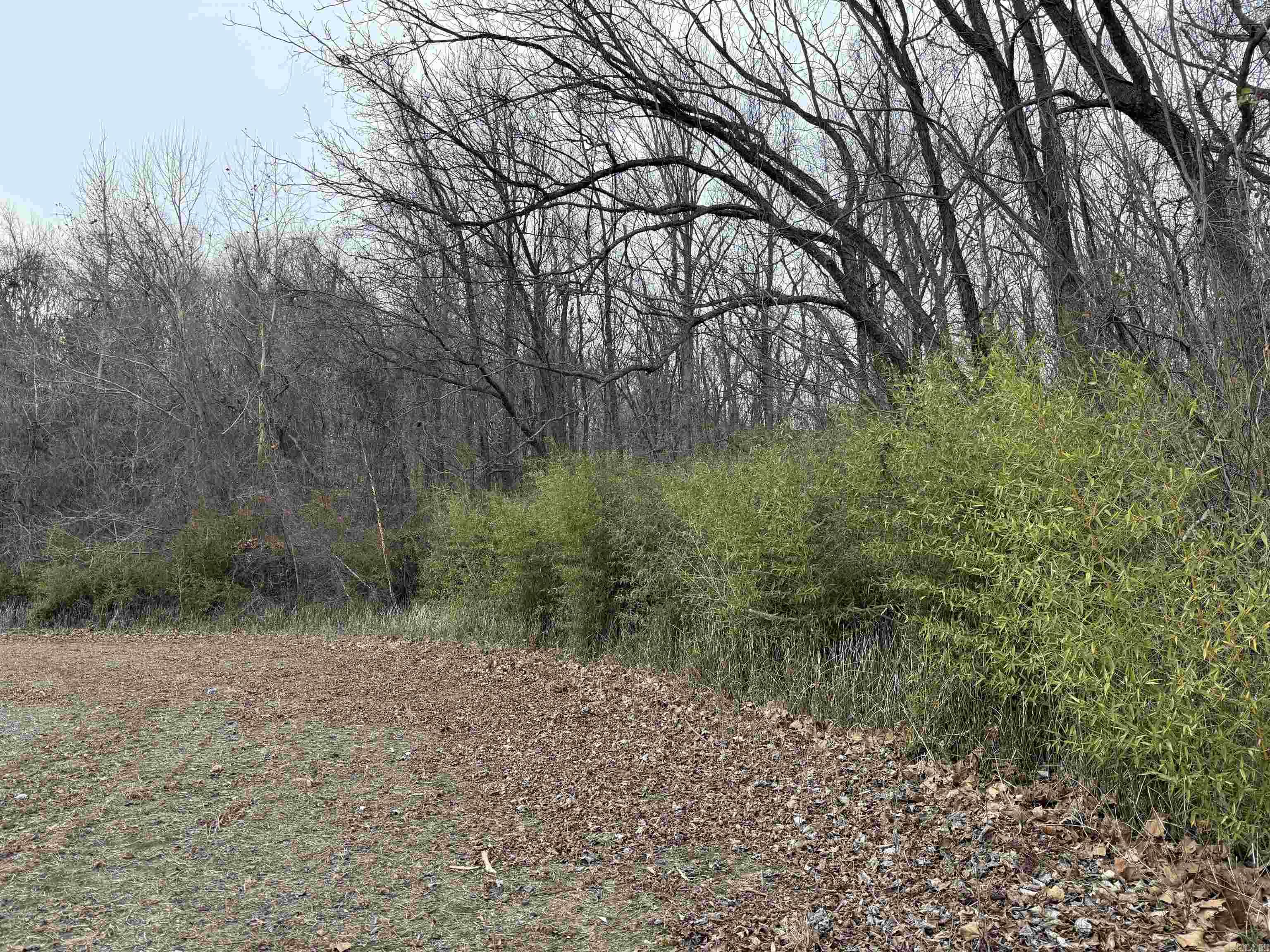 00 Sfc 415 County Rd 415 Property Photo 27