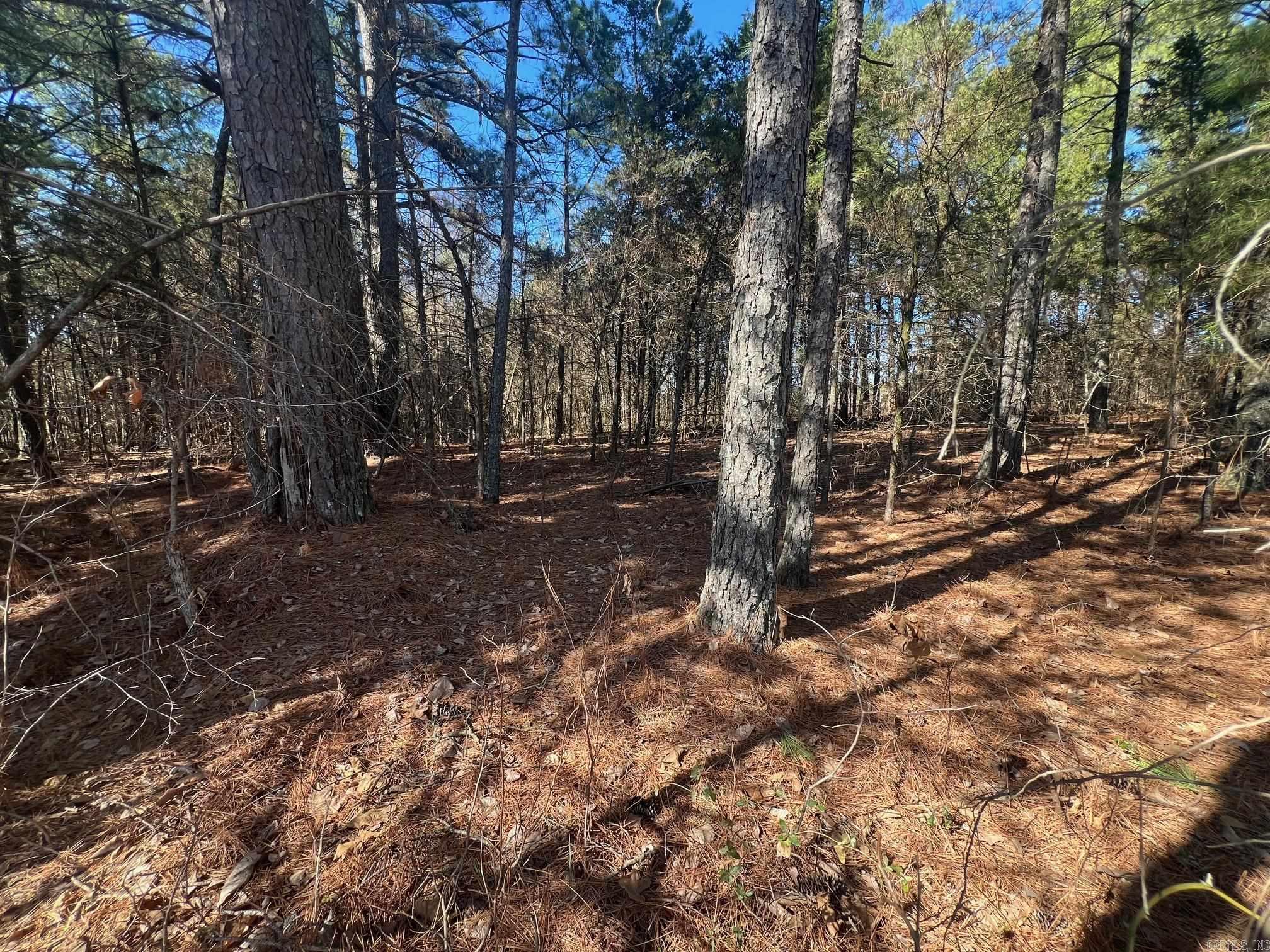 00 Wells Rd Property Photo 2