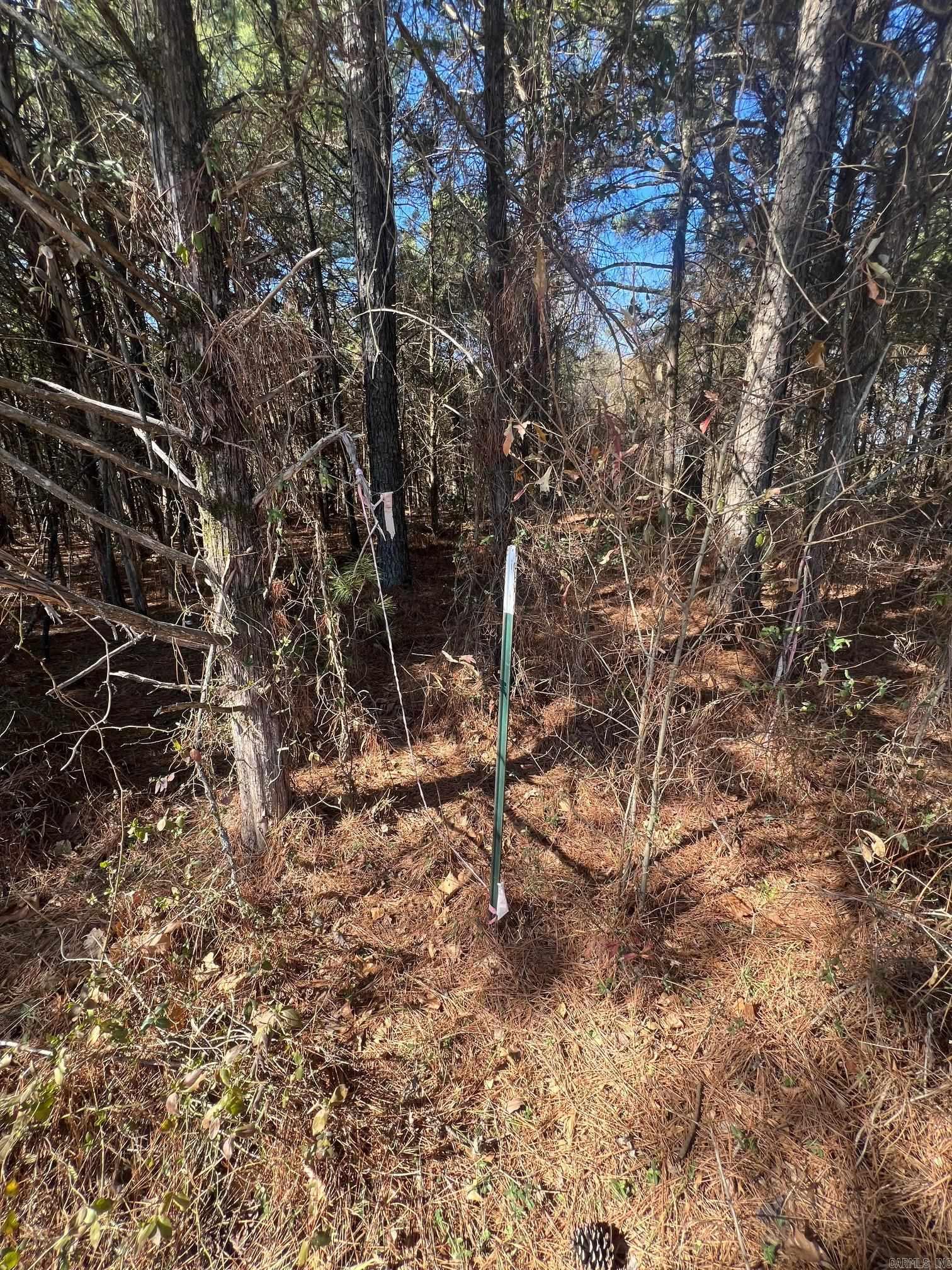 00 Wells Rd Property Photo 3