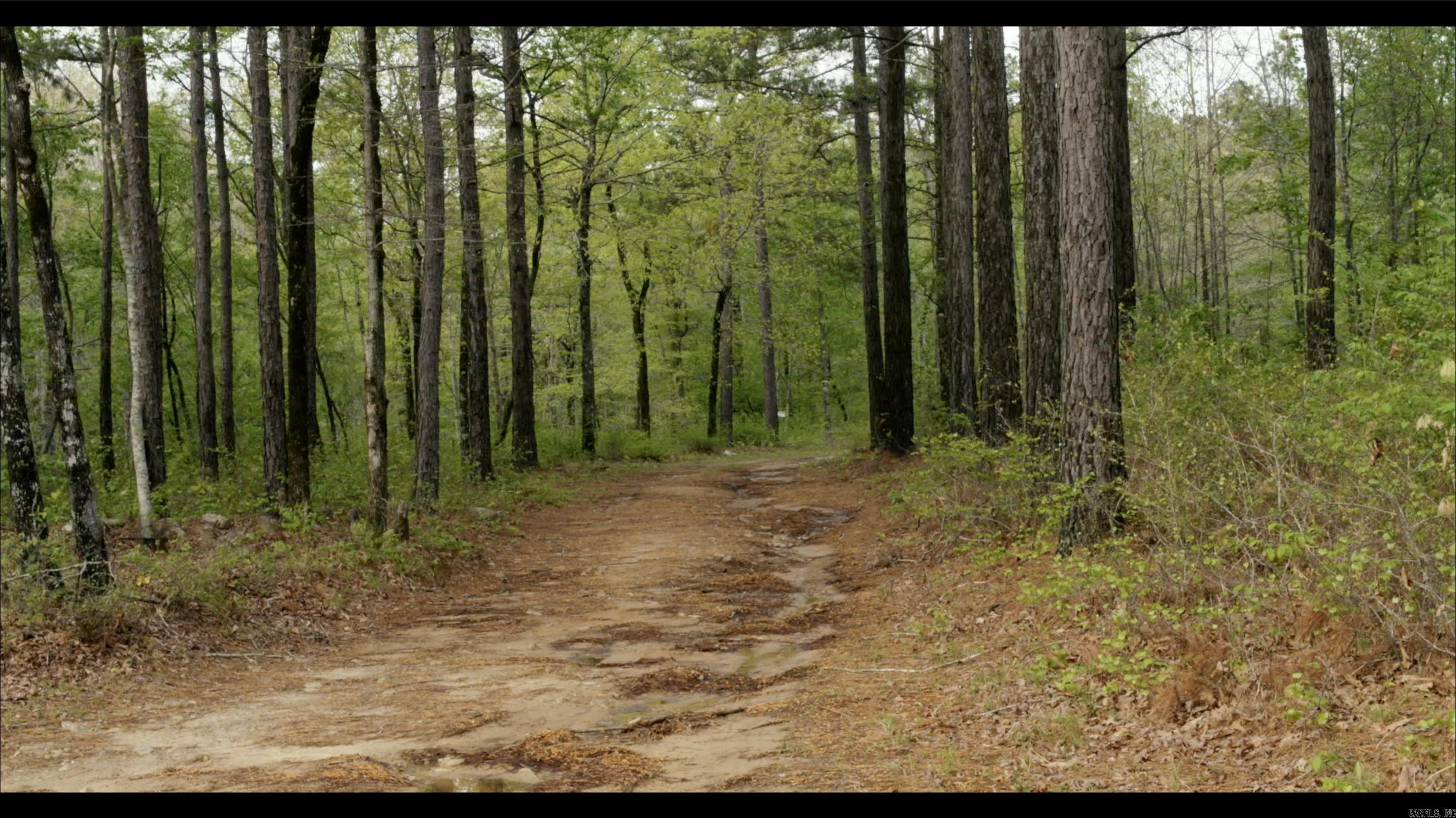 567 Shack Creek Lane Property Photo 18