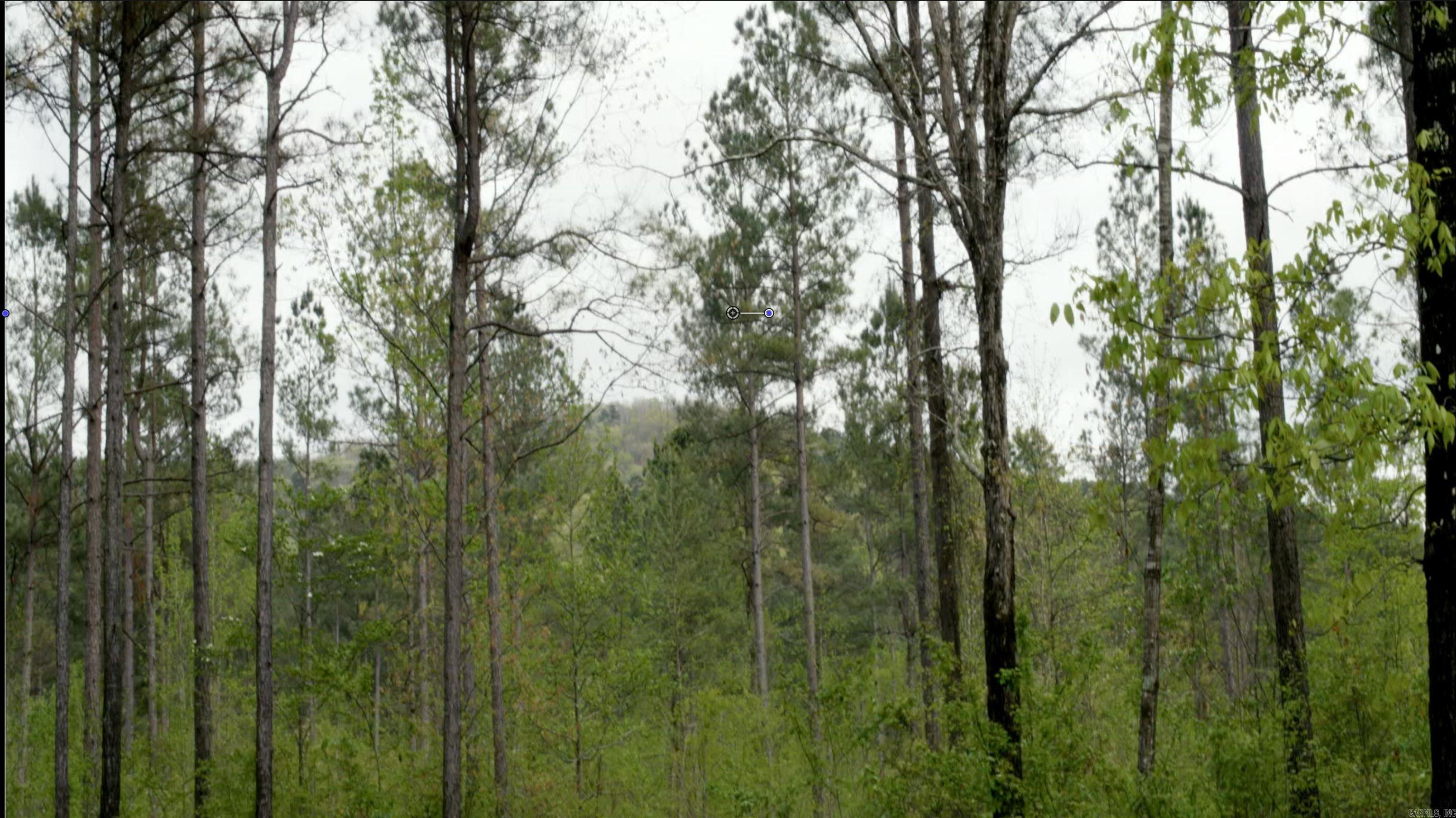 567 Shack Creek Lane Property Photo 20