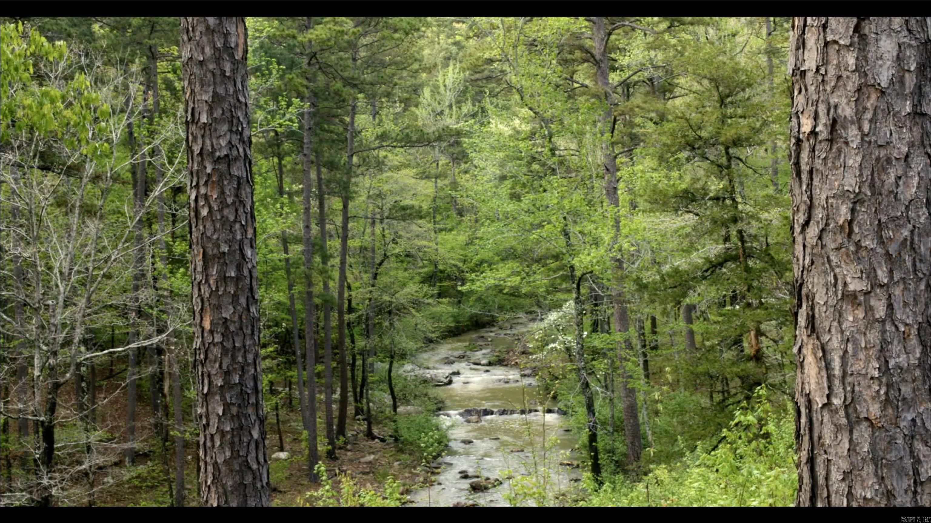 567 Shack Creek Lane Property Photo 22