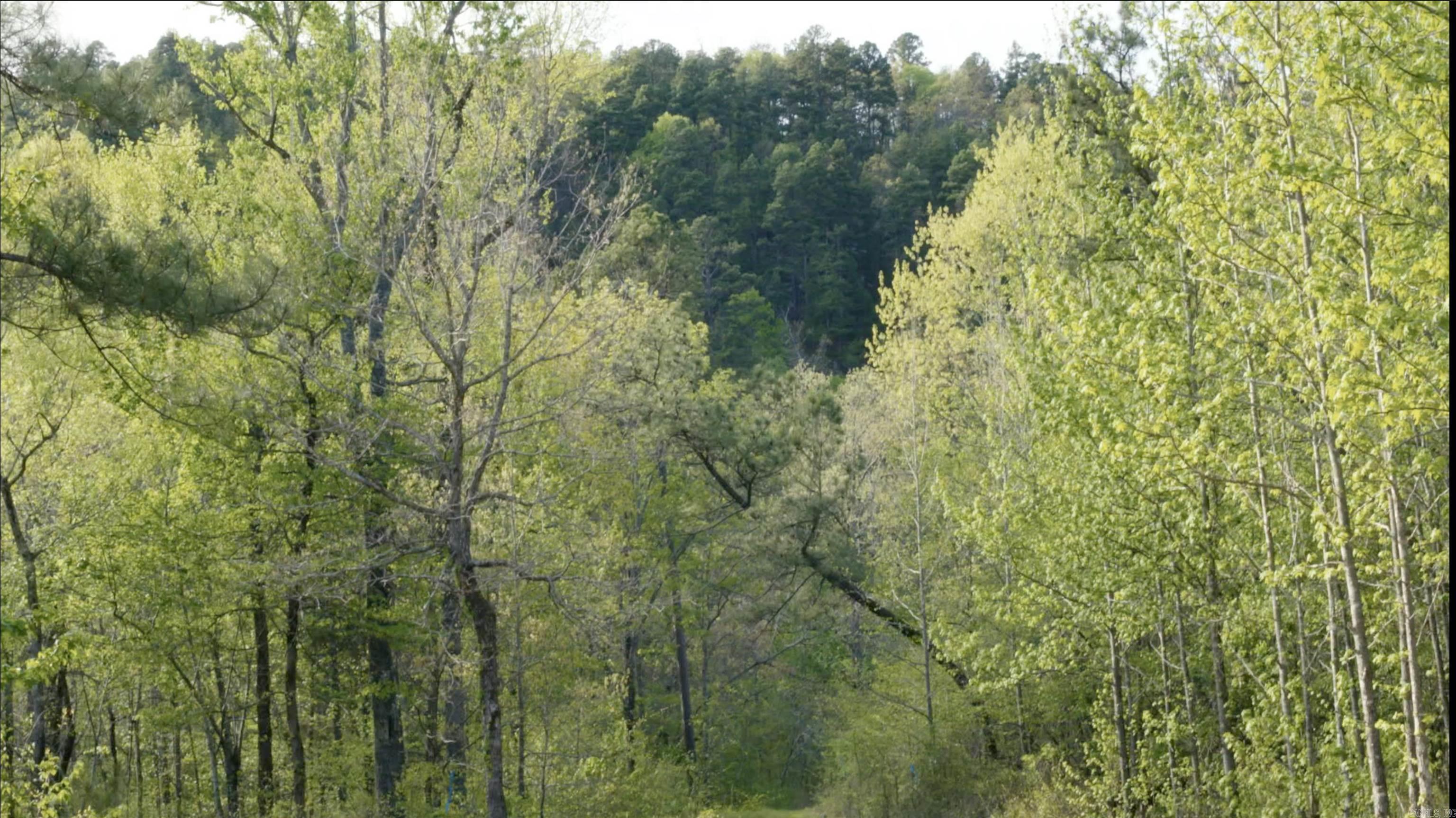 567 Shack Creek Lane Property Photo 29