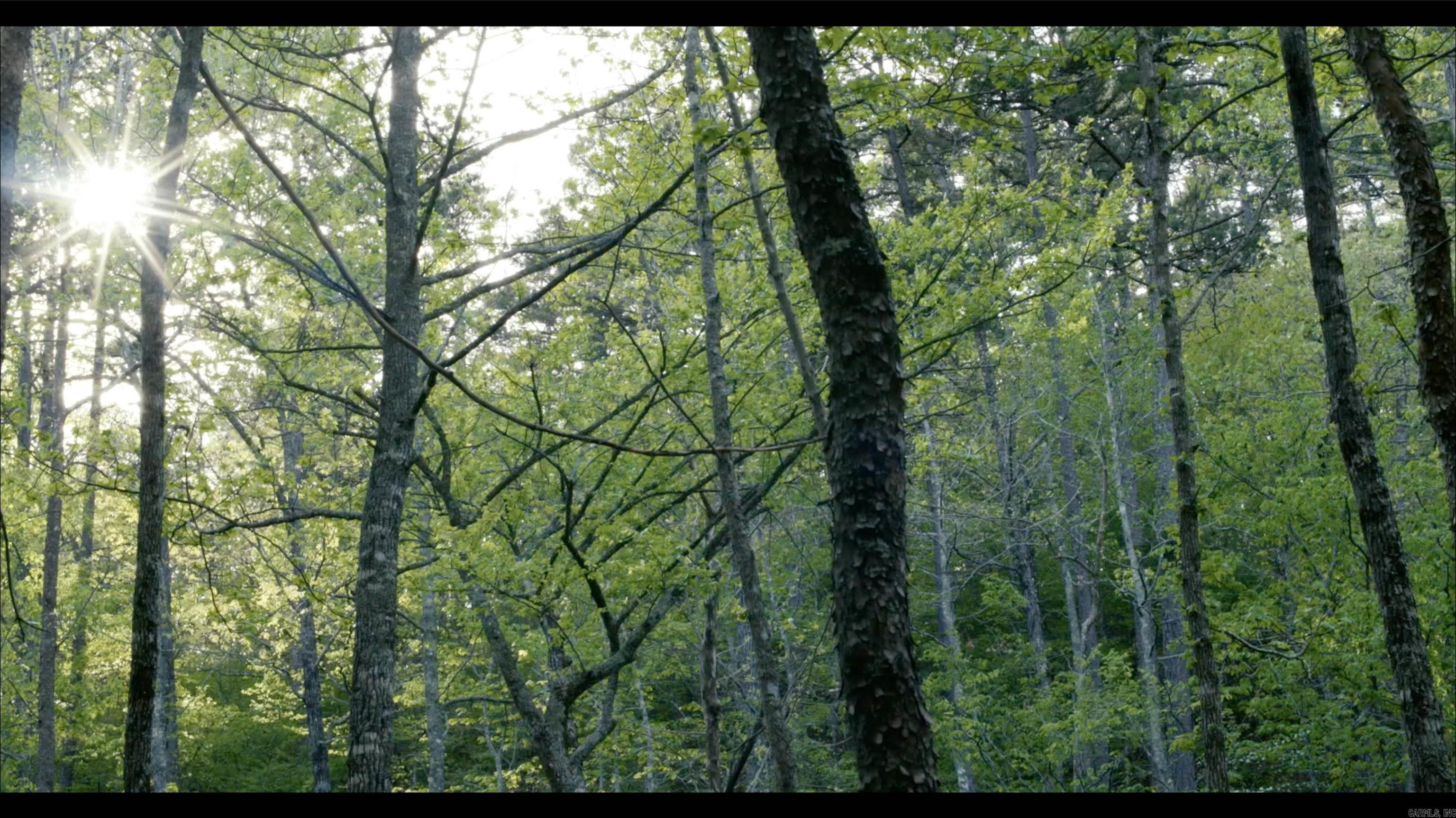 567 Shack Creek Lane Property Photo 30