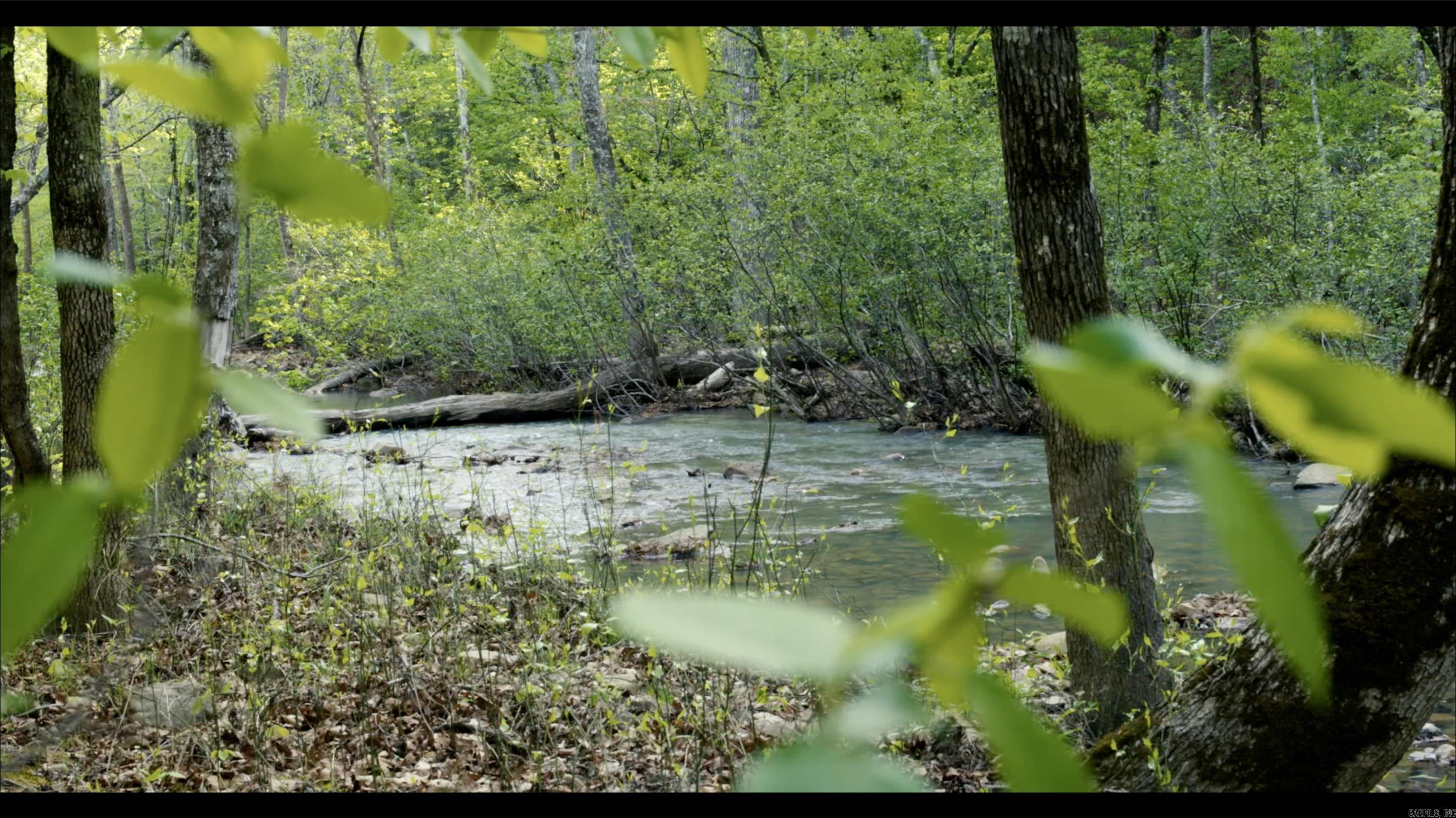 567 Shack Creek Lane Property Photo 31