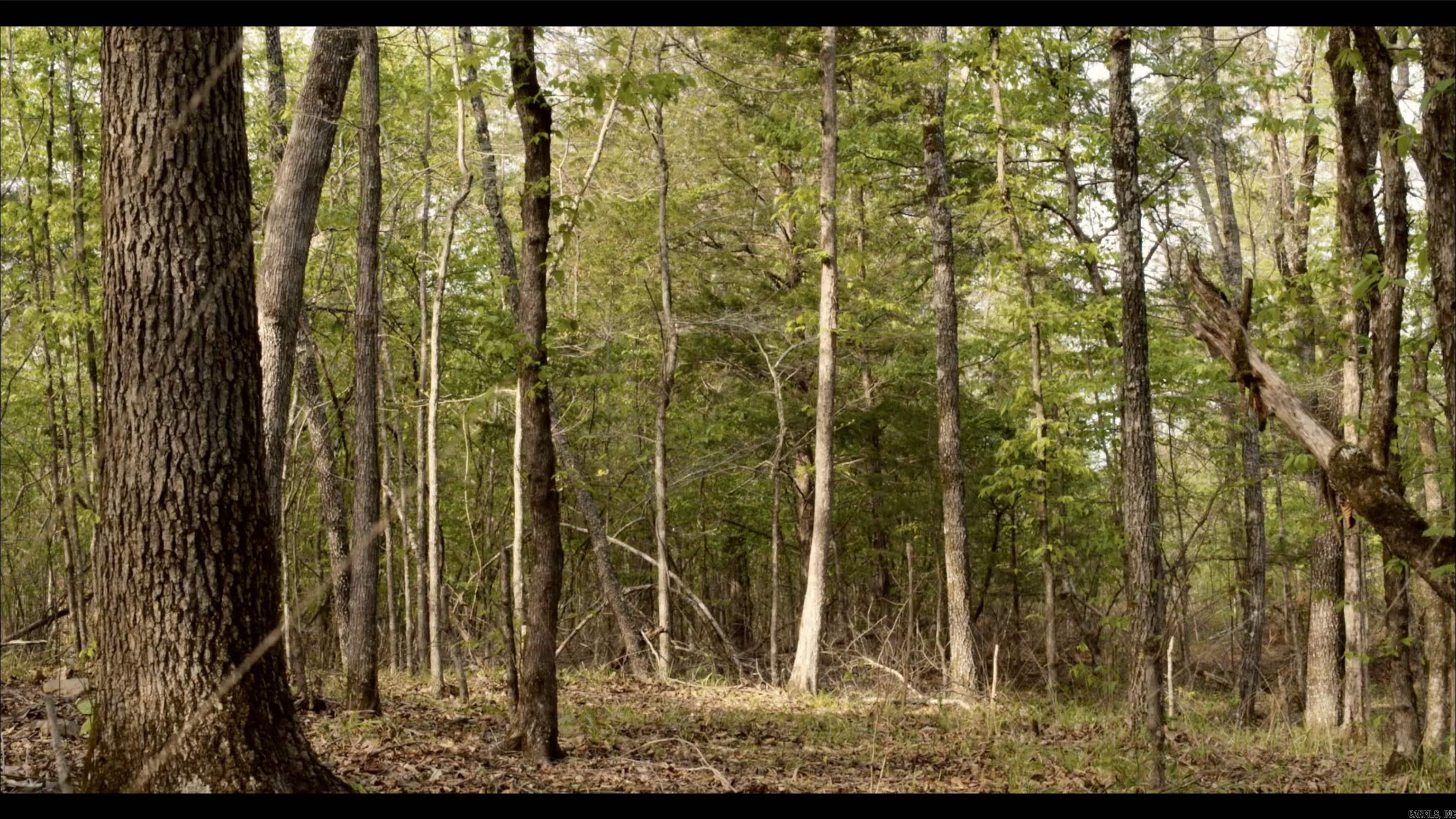 567 Shack Creek Lane Property Photo 36
