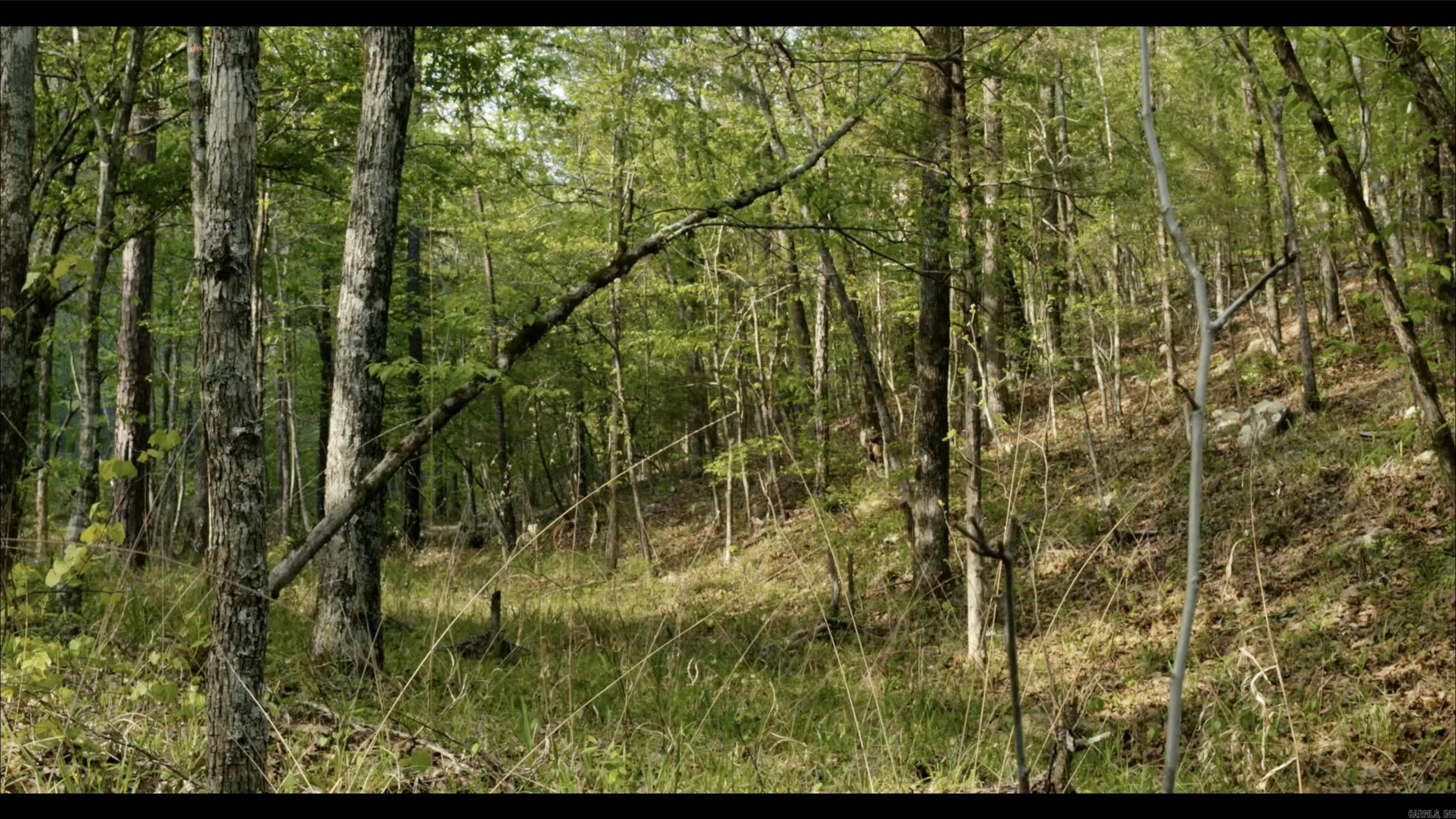 567 Shack Creek Lane Property Photo 37