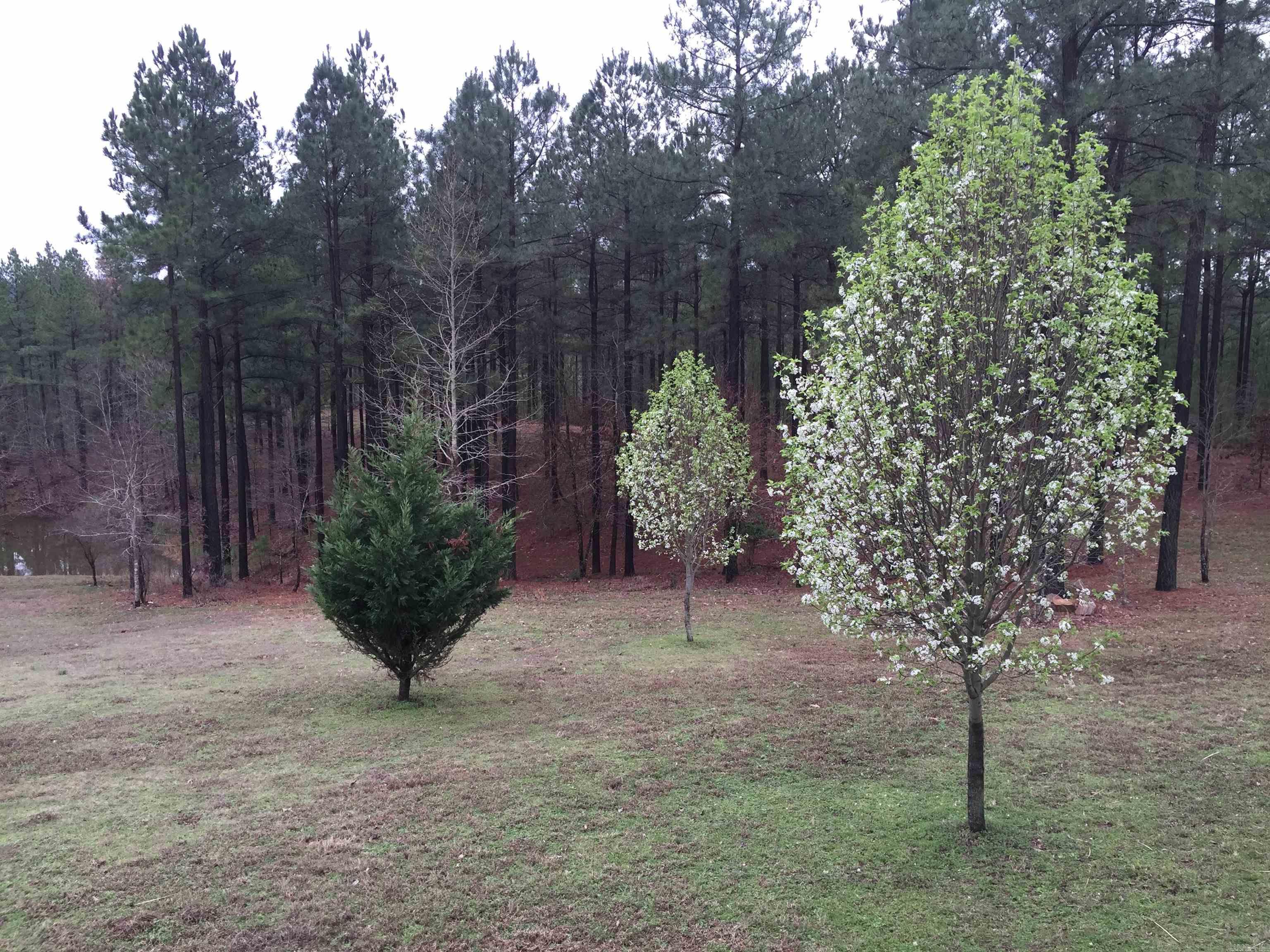 280 Brookhill Ranch Road Property Photo 35