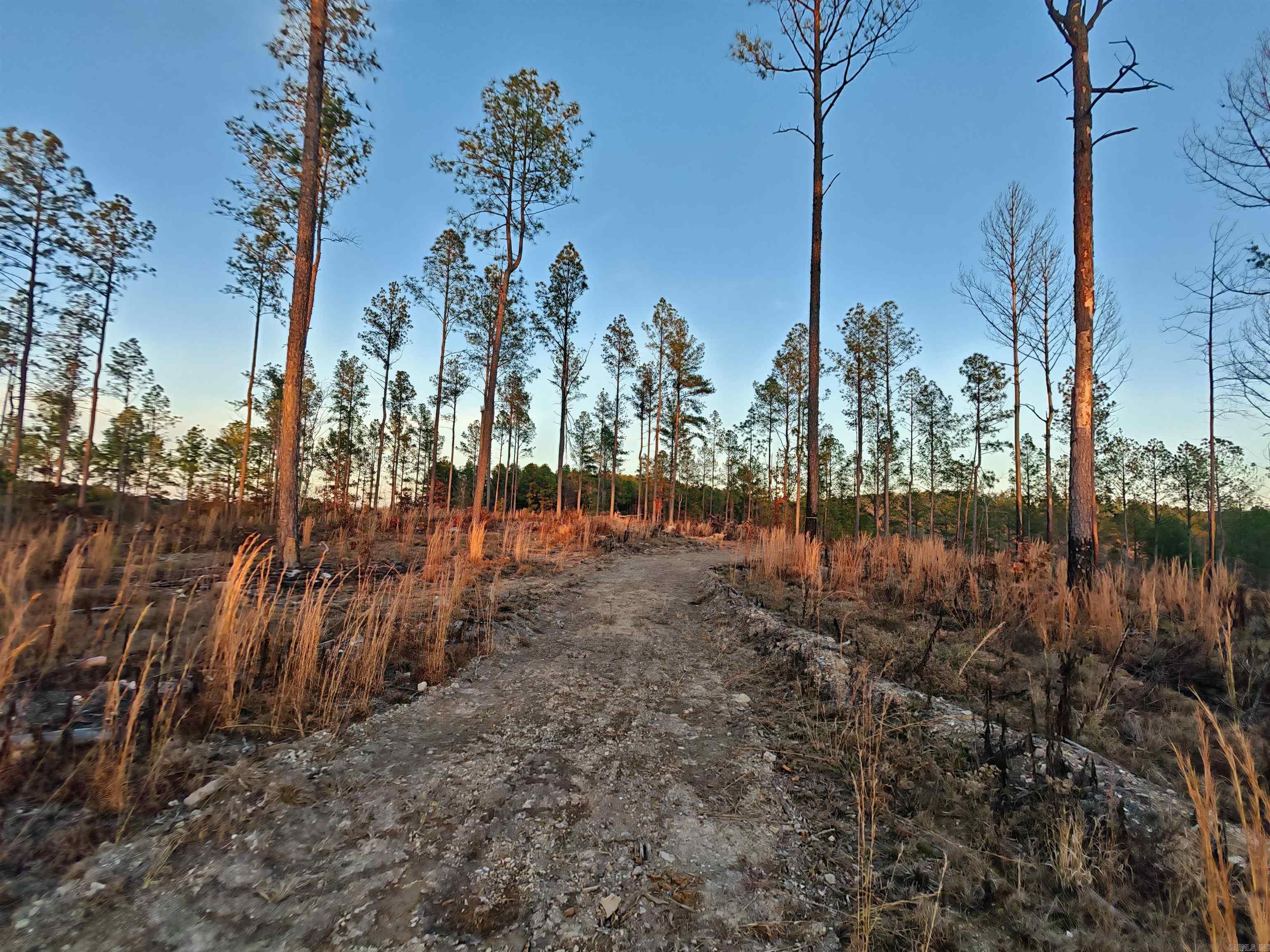 280 Brookhill Ranch Road Property Photo 39
