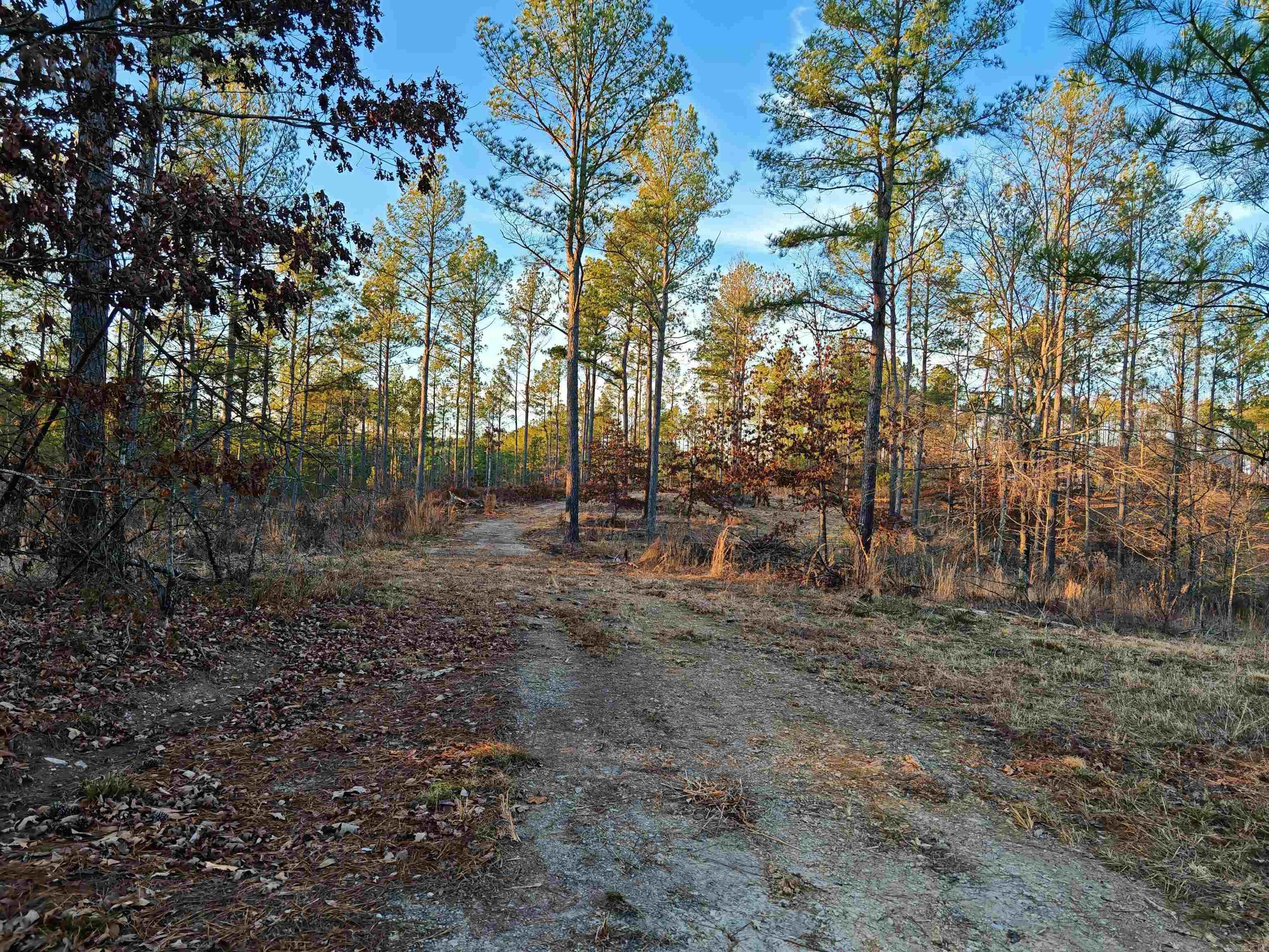 280 Brookhill Ranch Road Property Photo 40