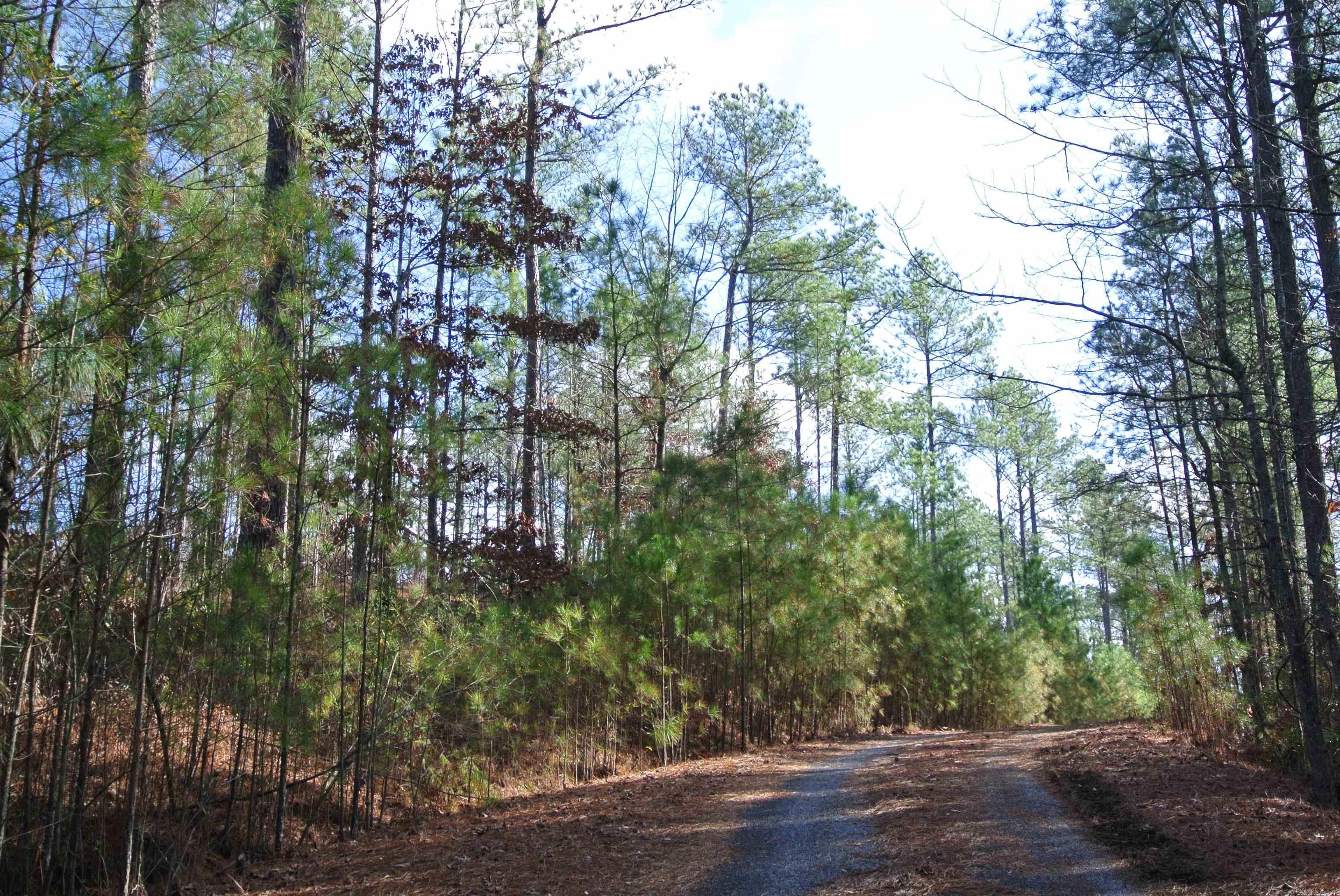 280 Brookhill Ranch Road Property Photo 45
