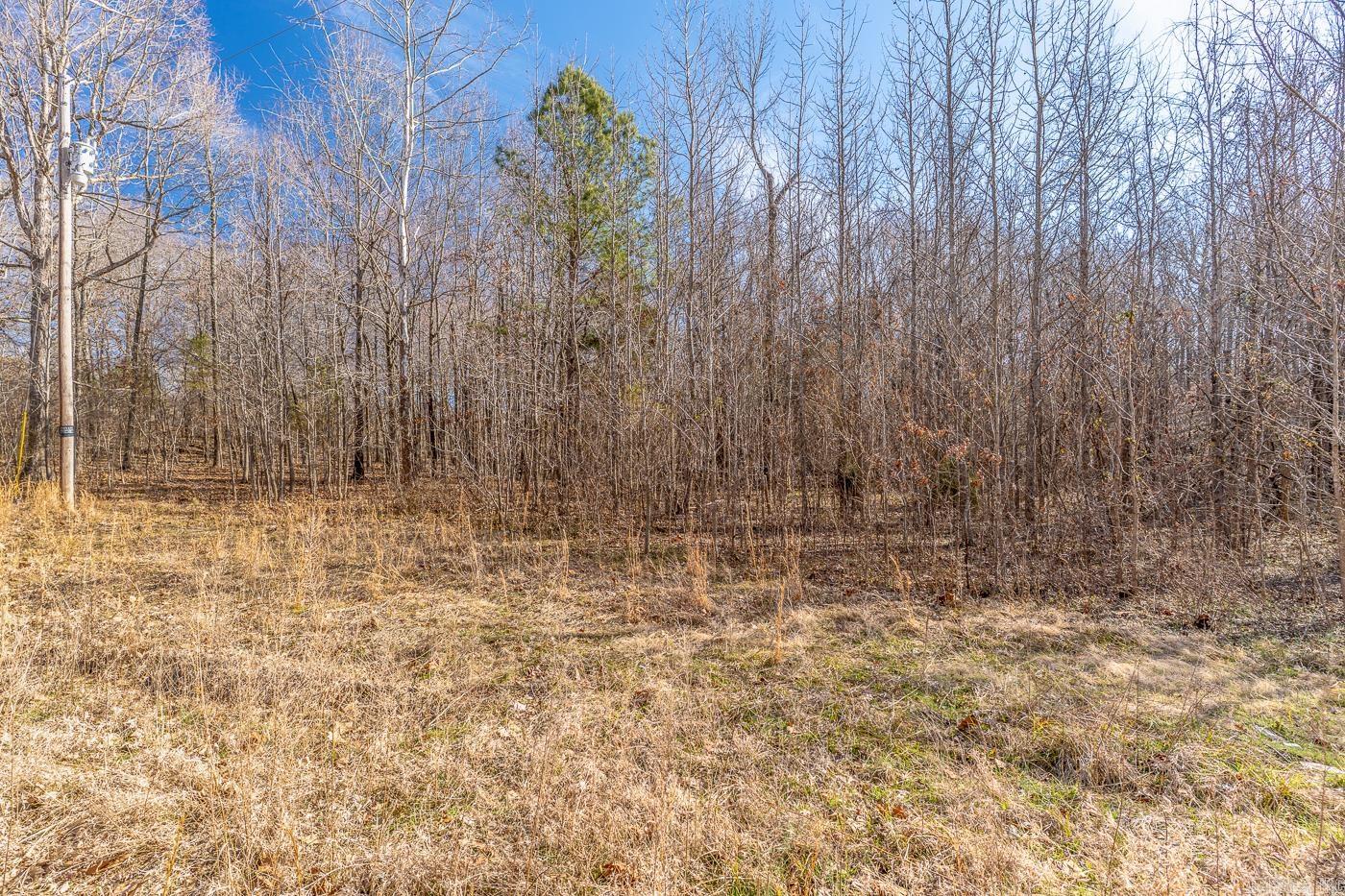 3.03 Acres County Road 389 Property Photo 2