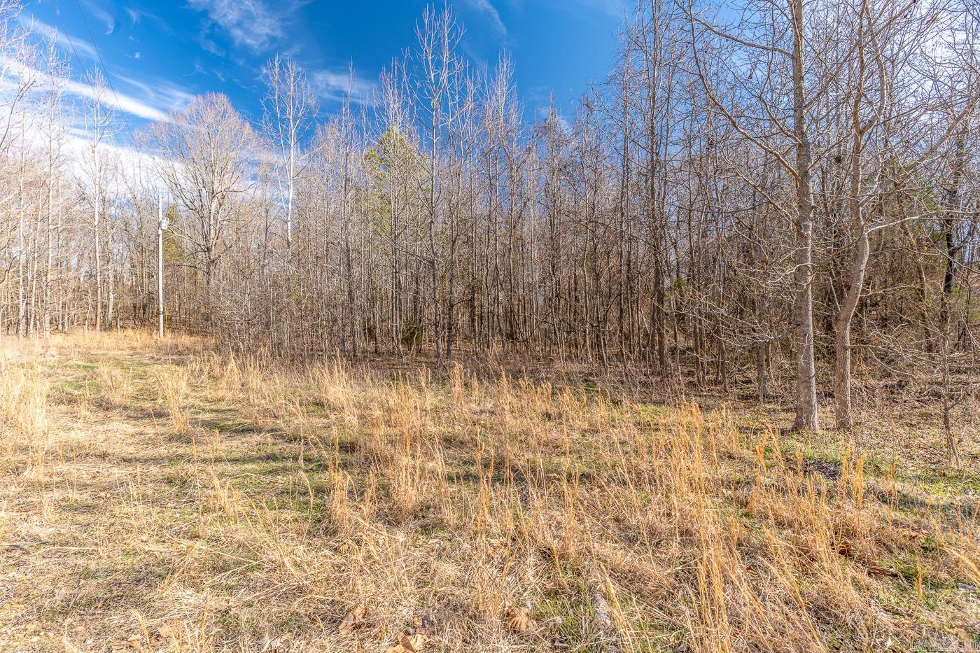3.03 Acres County Road 389 Property Photo 3