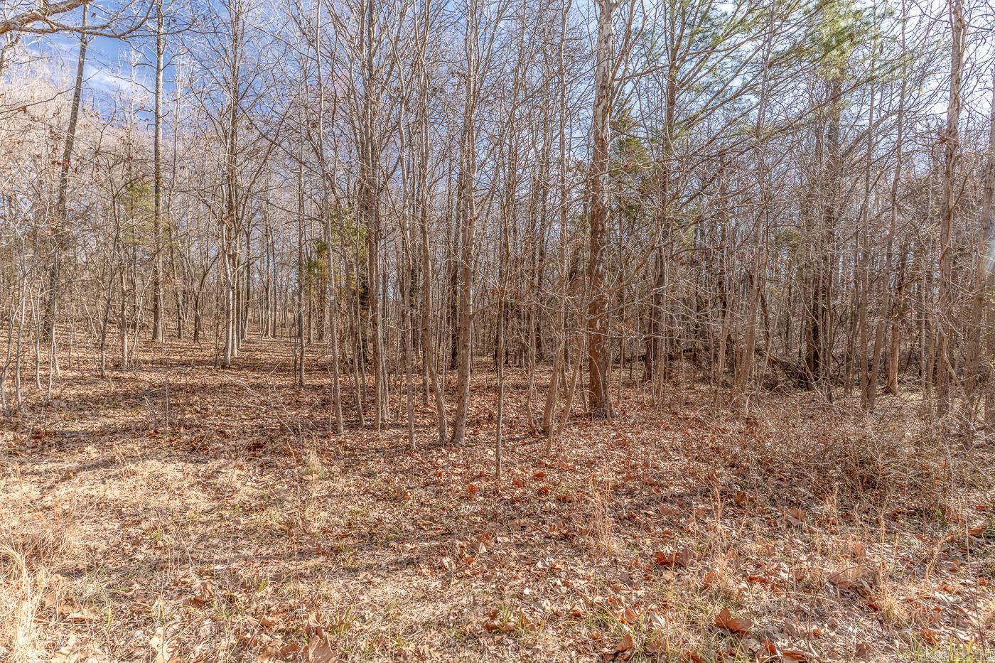 3.03 Acres County Road 389 Property Photo 4